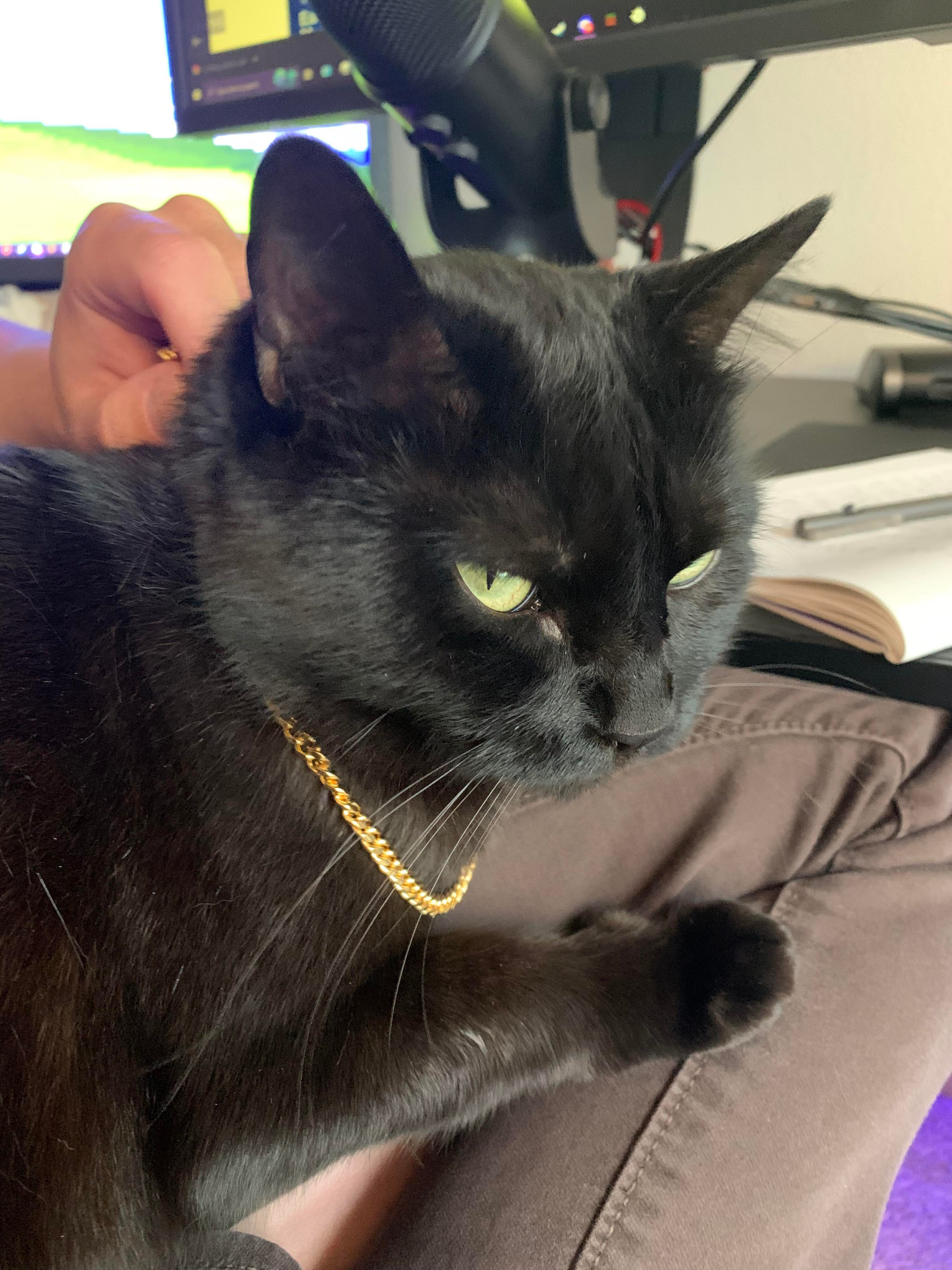 user avatar image for Jake