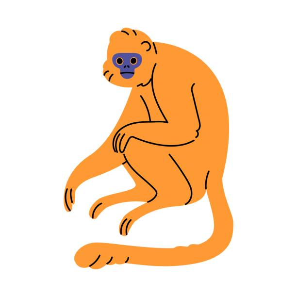 user avatar image for Casey G