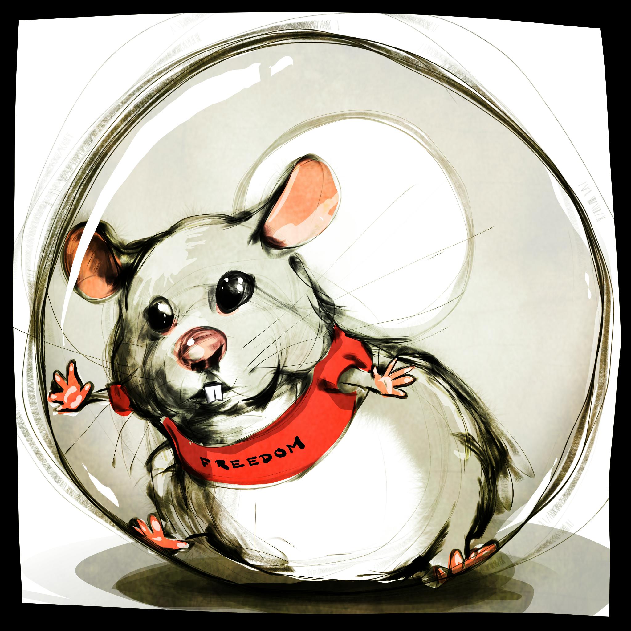 user avatar image for Nikolaj Kramer