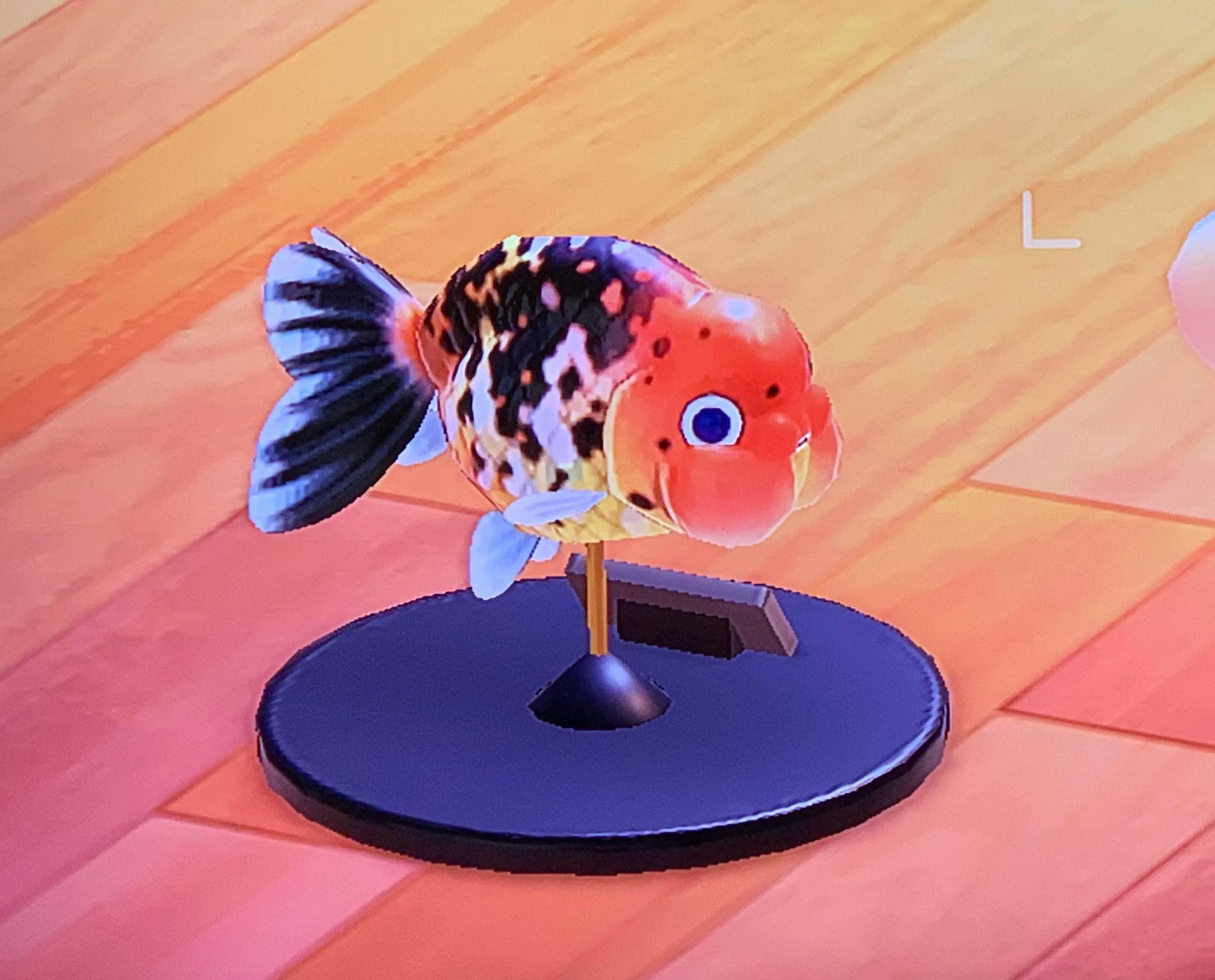 user avatar image for Devin DelVecchio