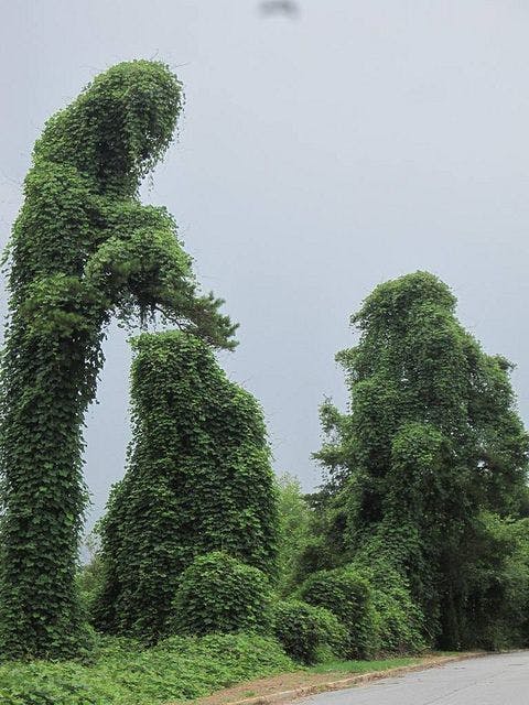 user avatar image for Summer