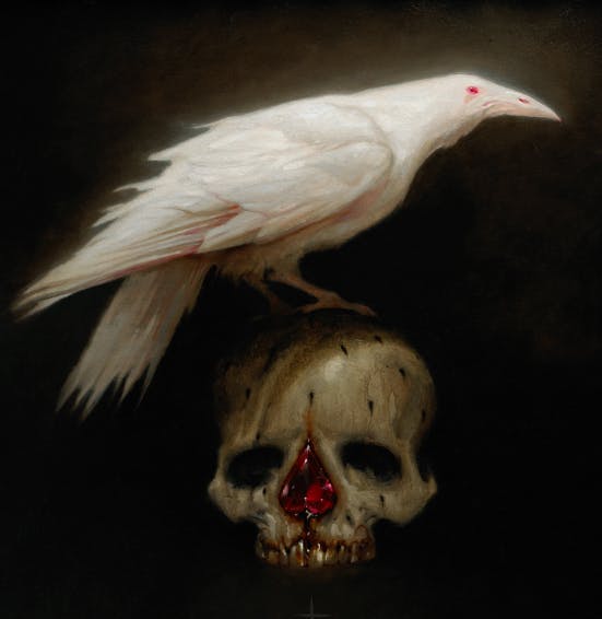 user avatar image for JaCook03