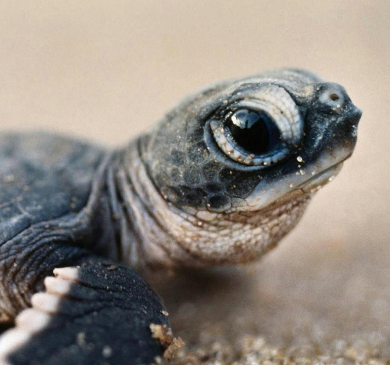 user avatar image for Ava