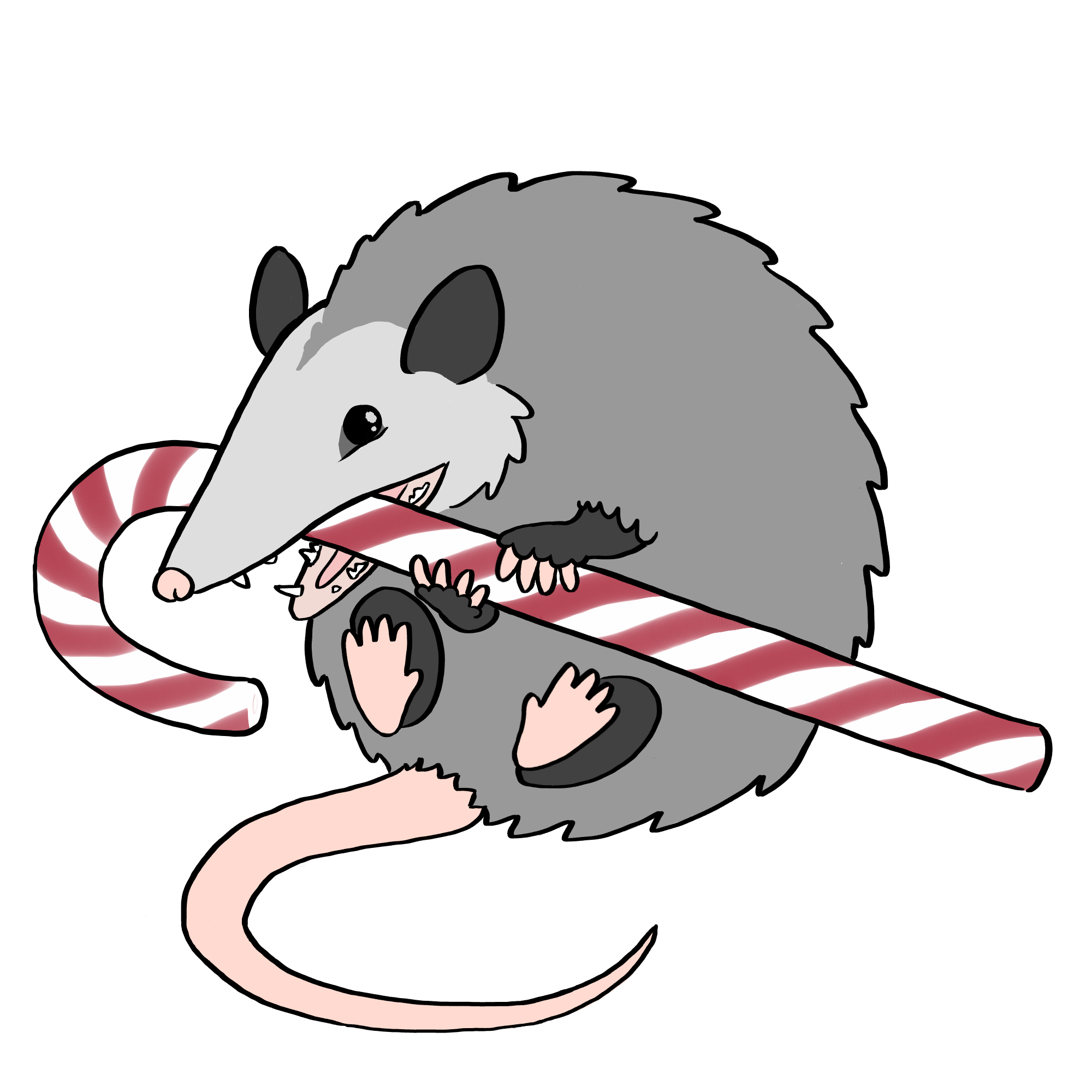 user avatar image for Halla H.