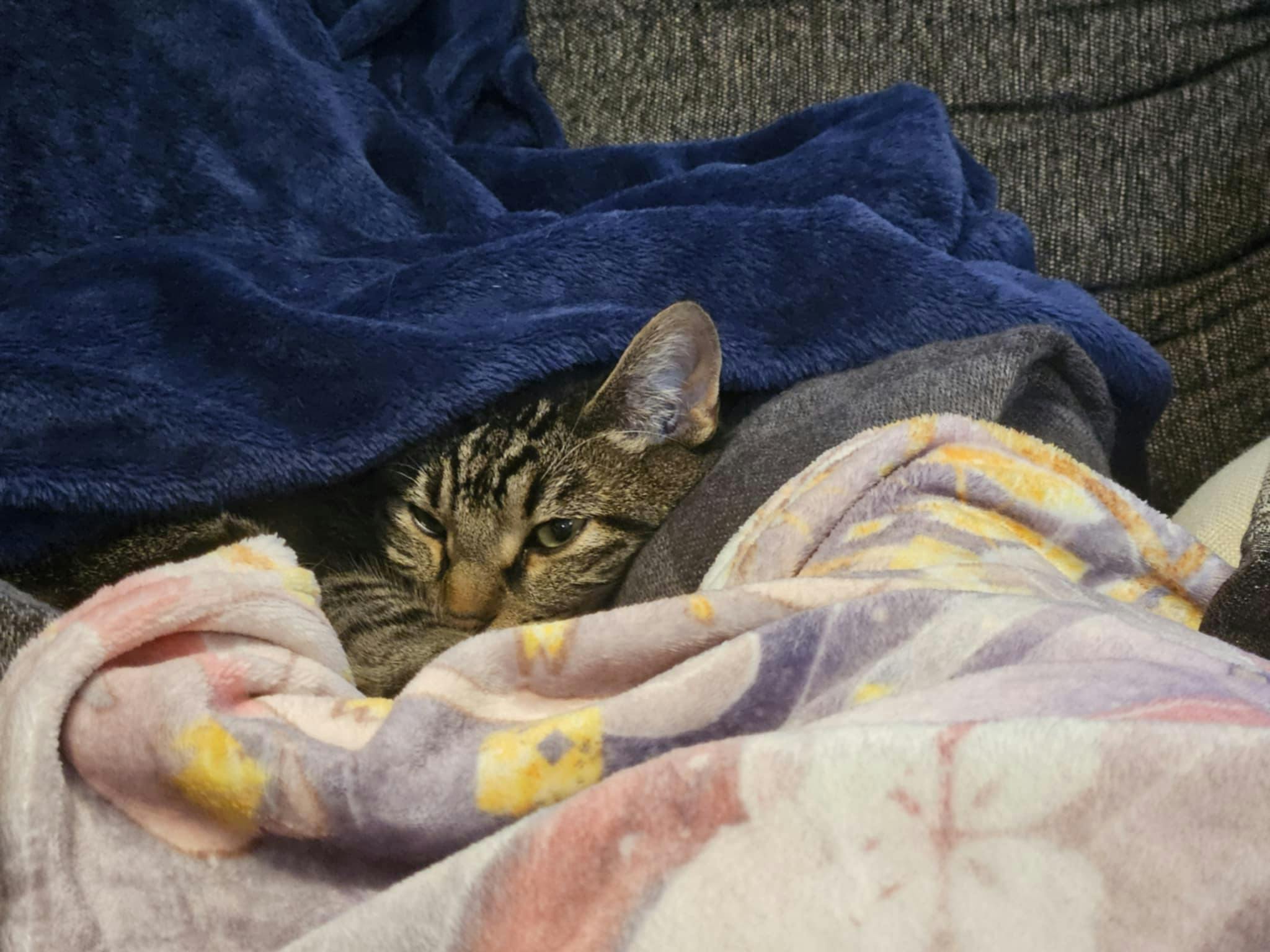 user avatar image for Dan