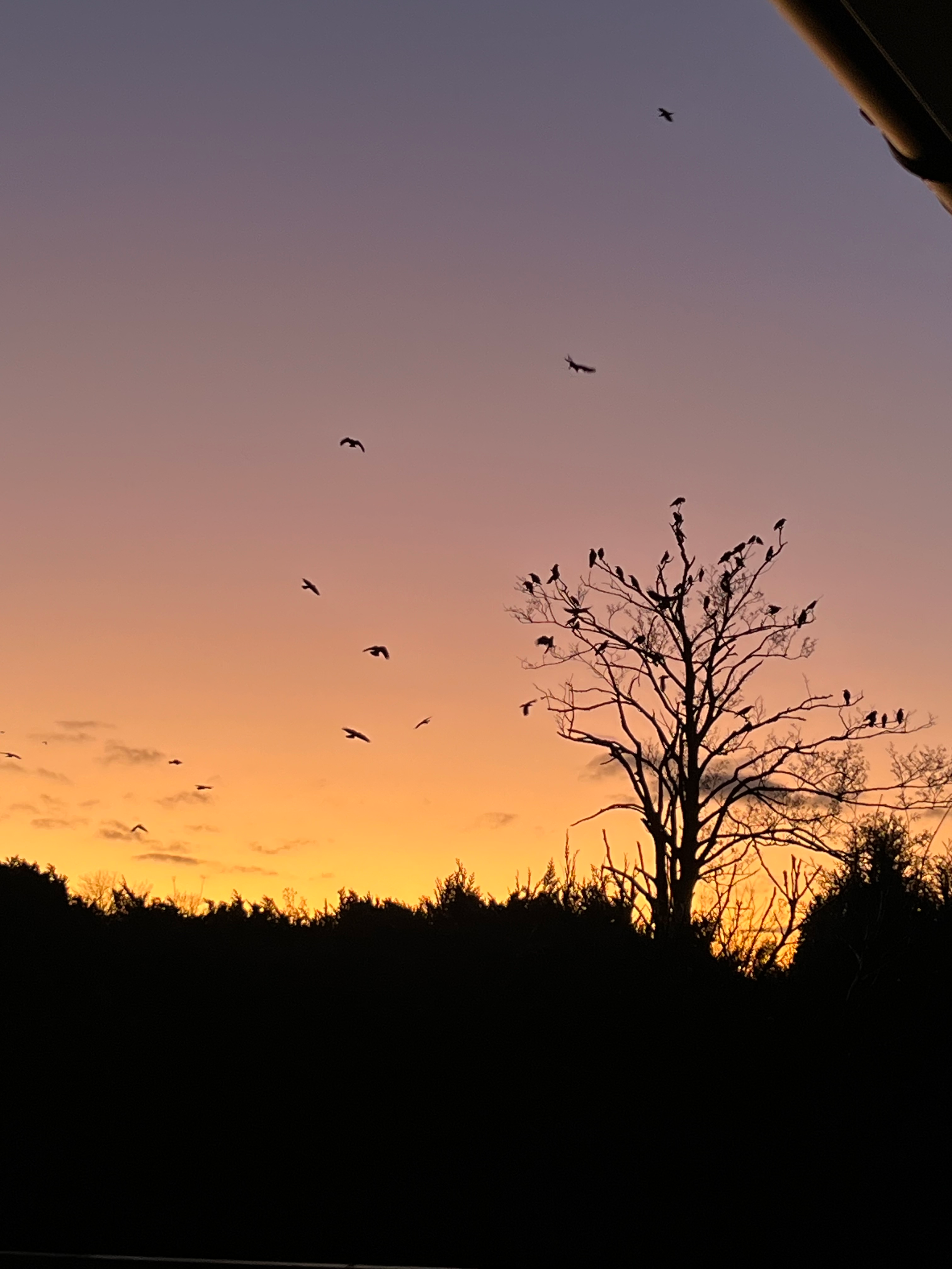 user avatar image for WS