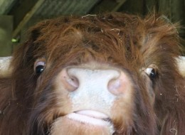 user avatar image for Martin Smith