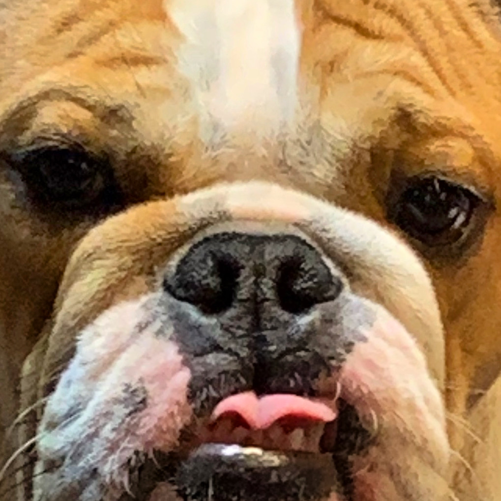 user avatar image for Tprozac