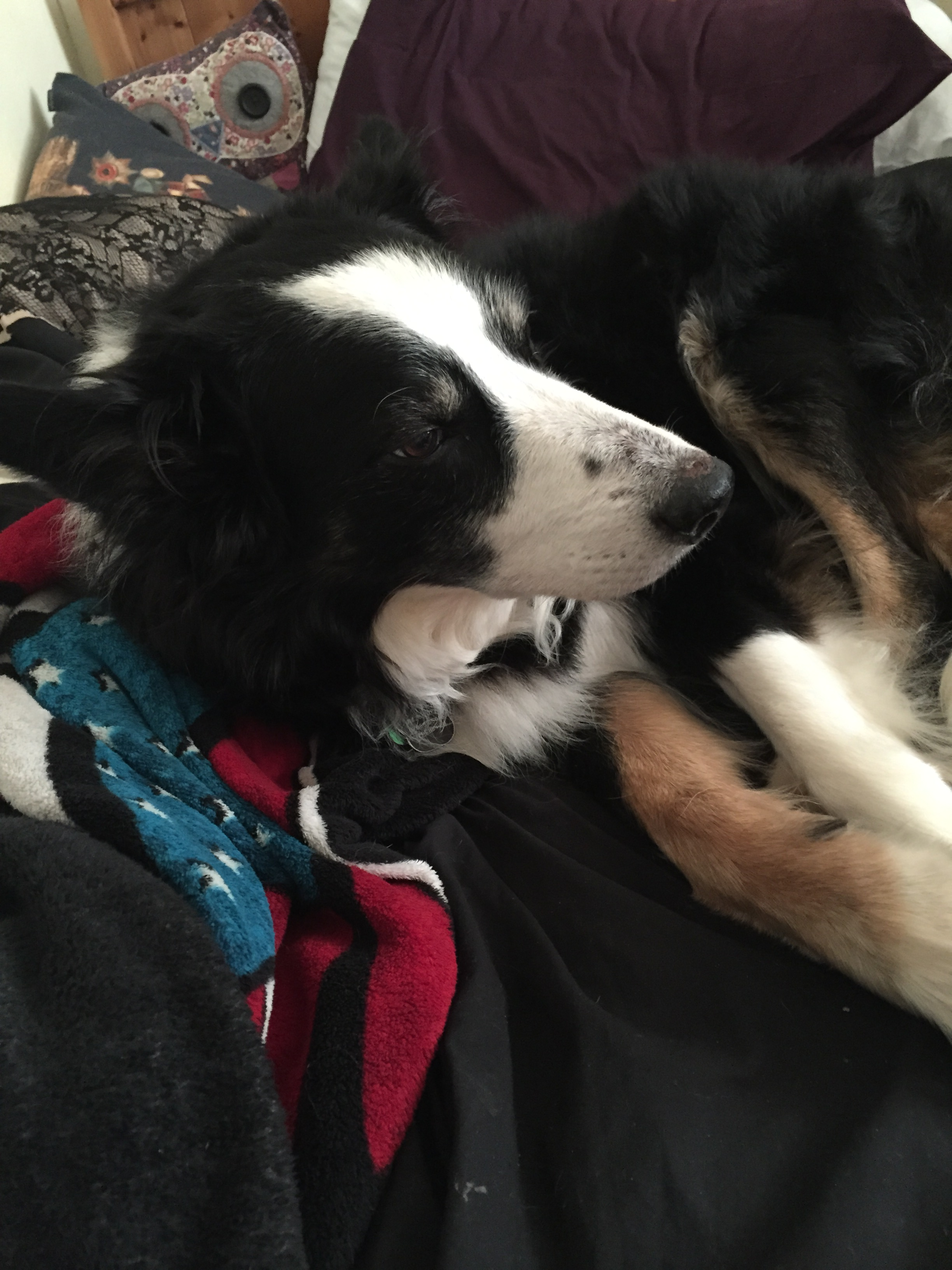 user avatar image for Natalie