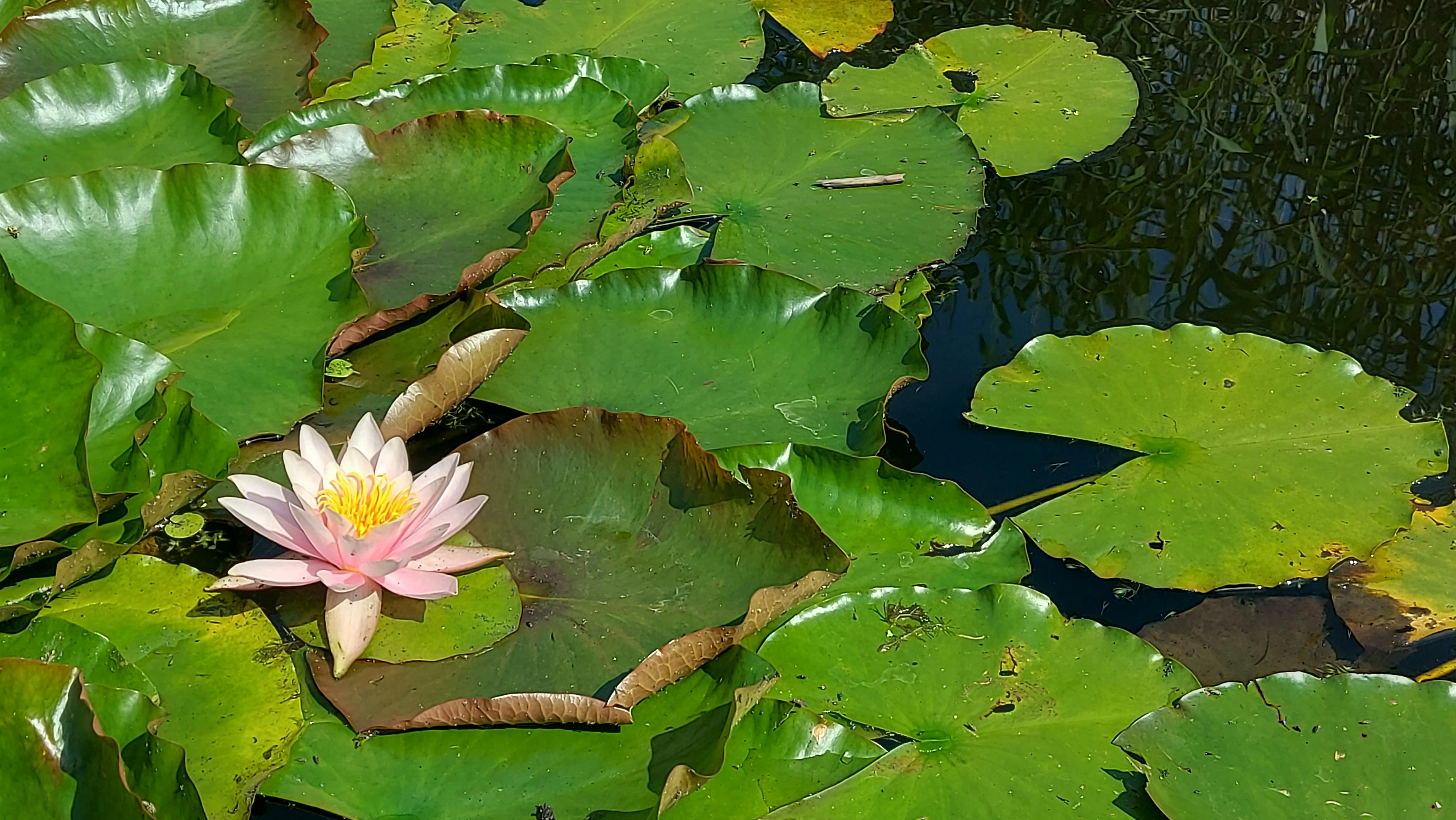 user avatar image for Inger