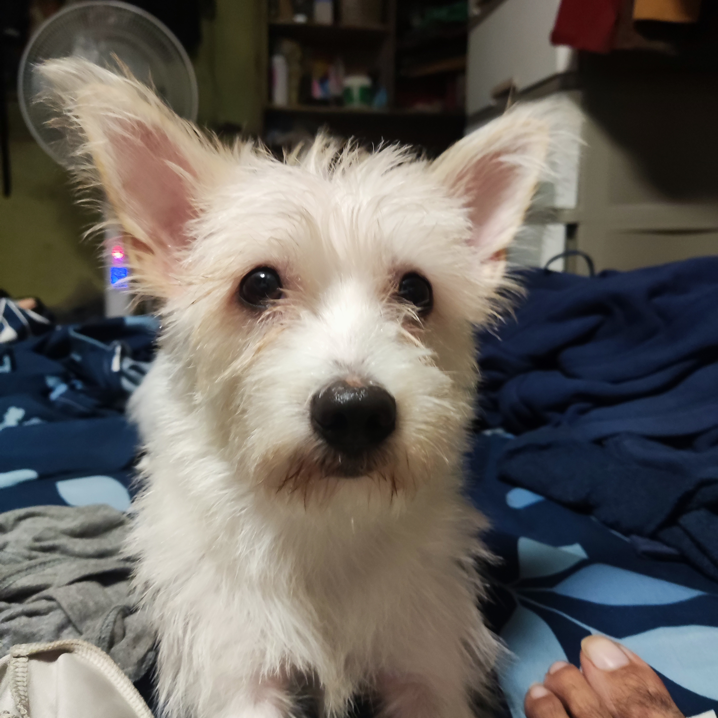 user avatar image for CLoW