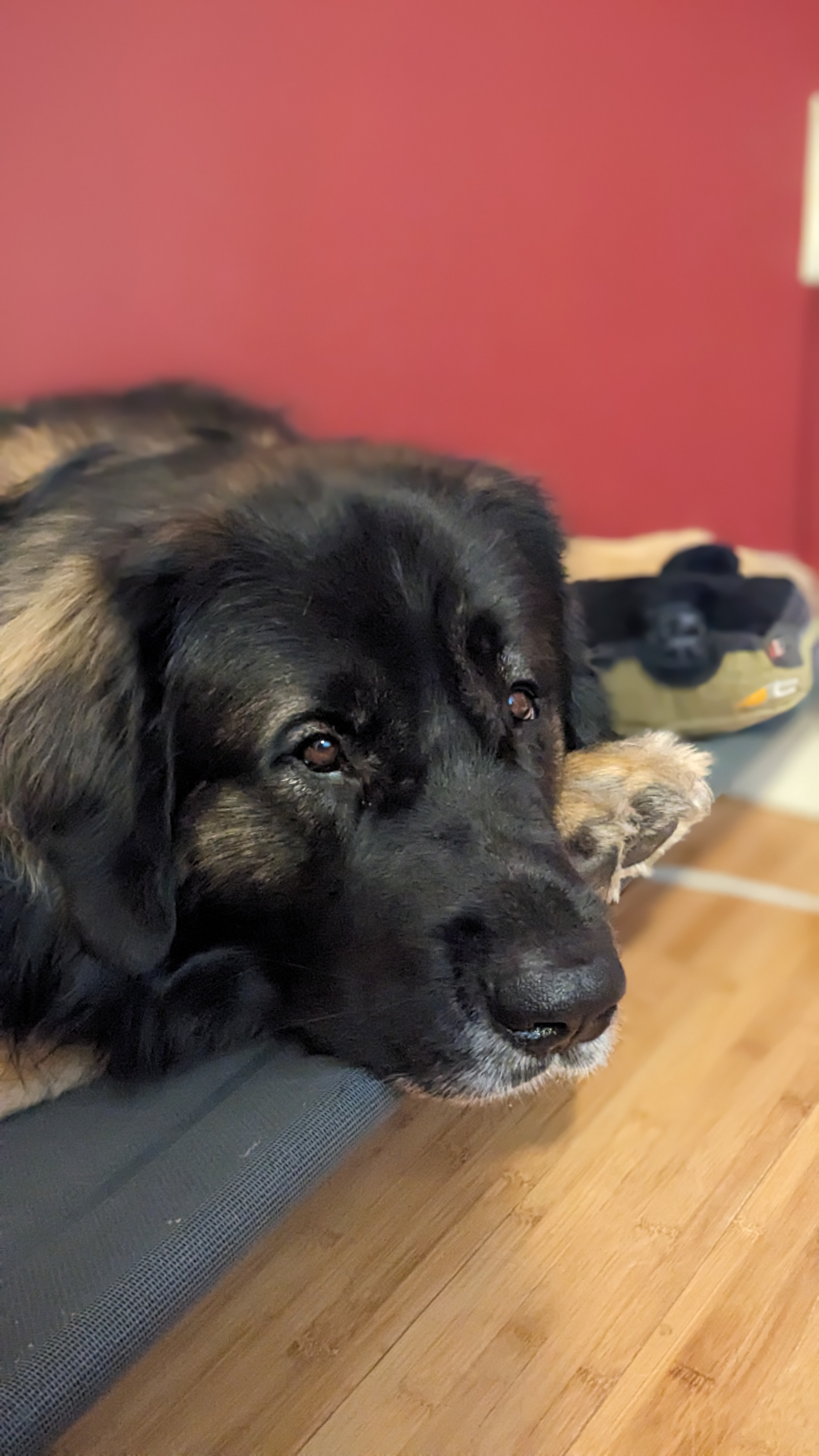 user avatar image for Nichole