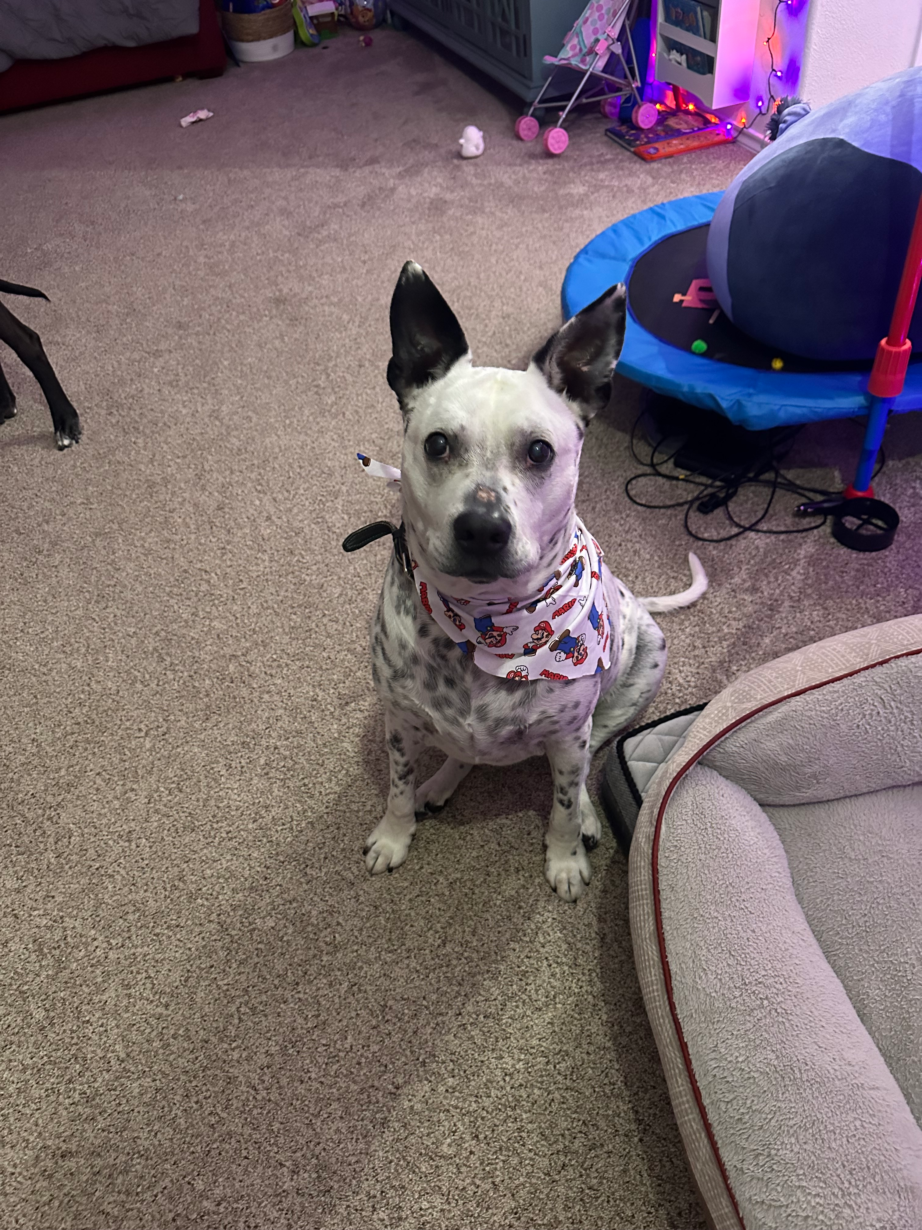 user avatar image for Roaming_gnome