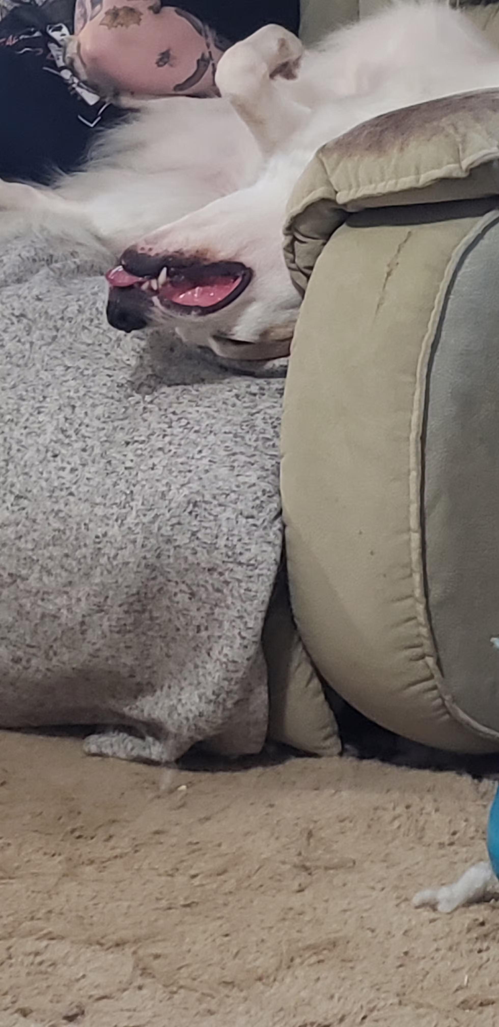 user avatar image for Derek