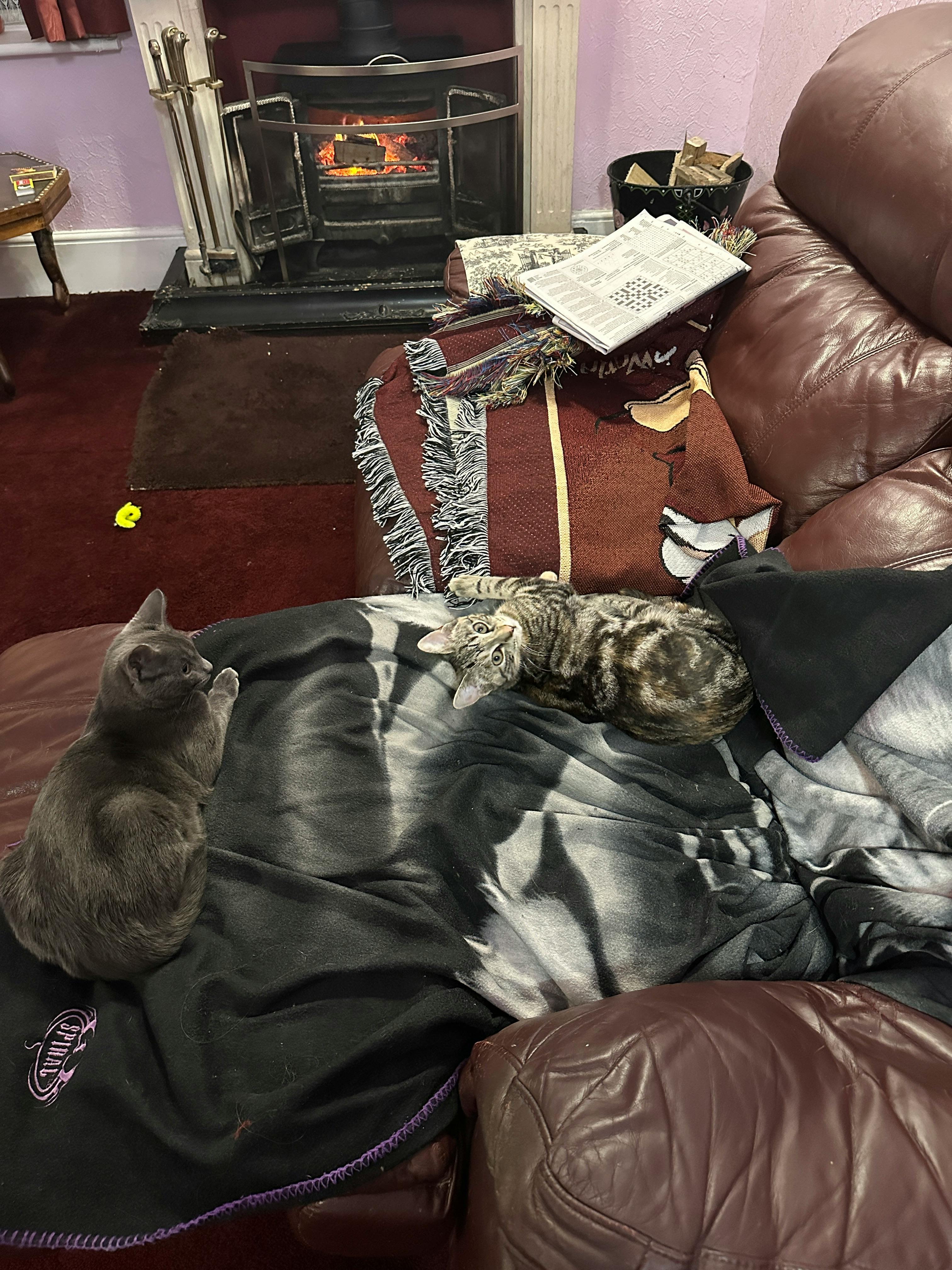 user avatar image for Row1