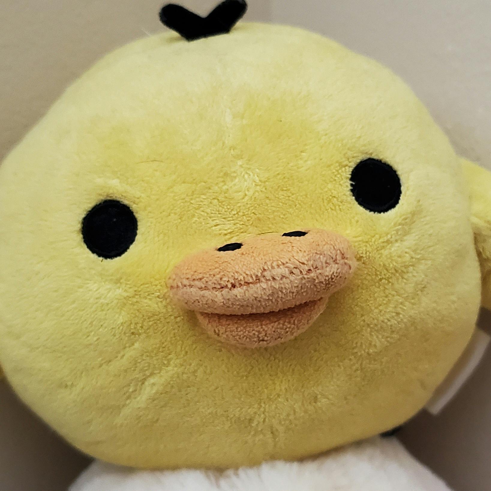 user avatar image for Emily