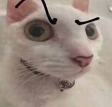 user avatar image for Corbin