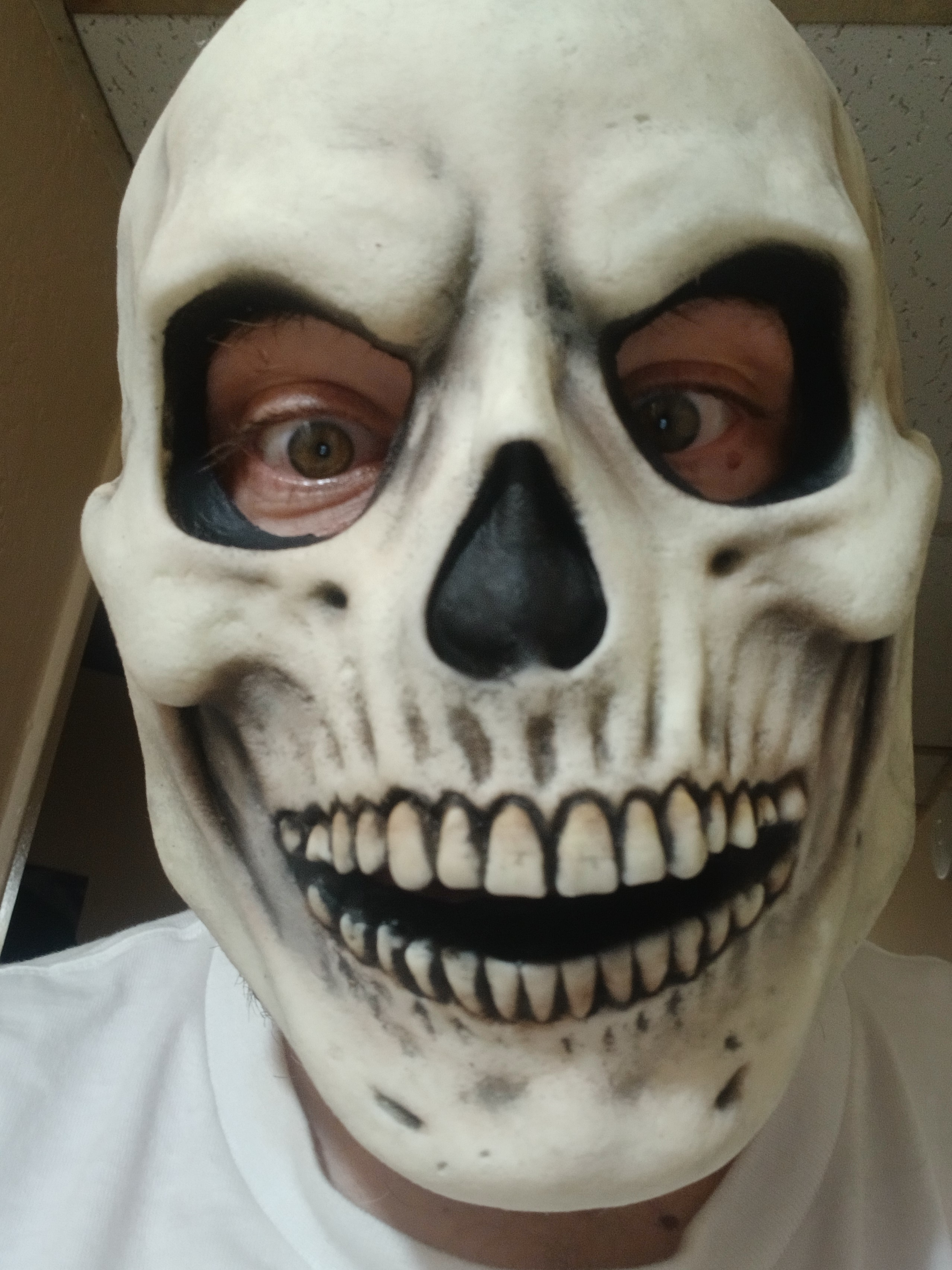 user avatar image for Shawn McBride 