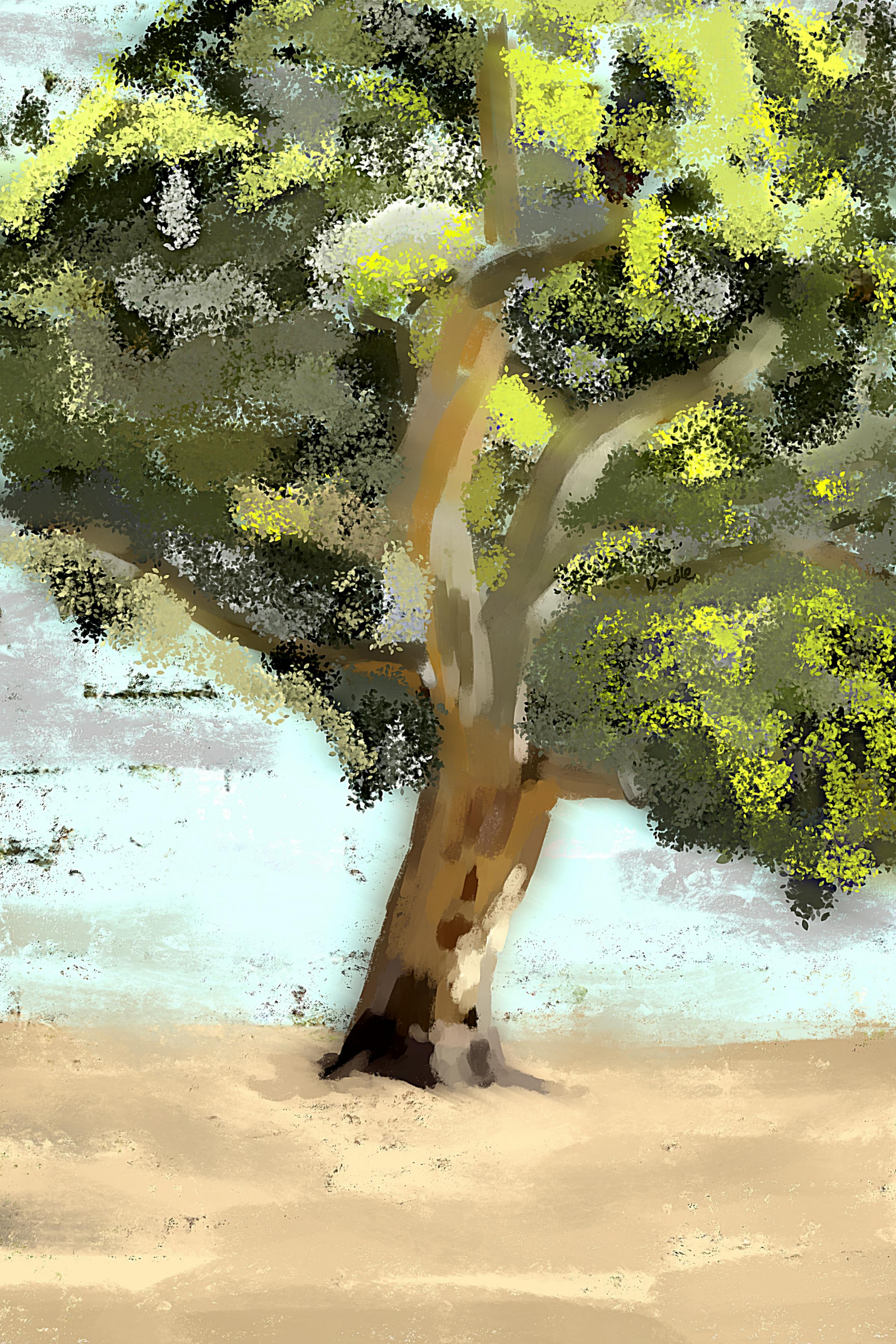 POSTCARD Eucalyptus Storm