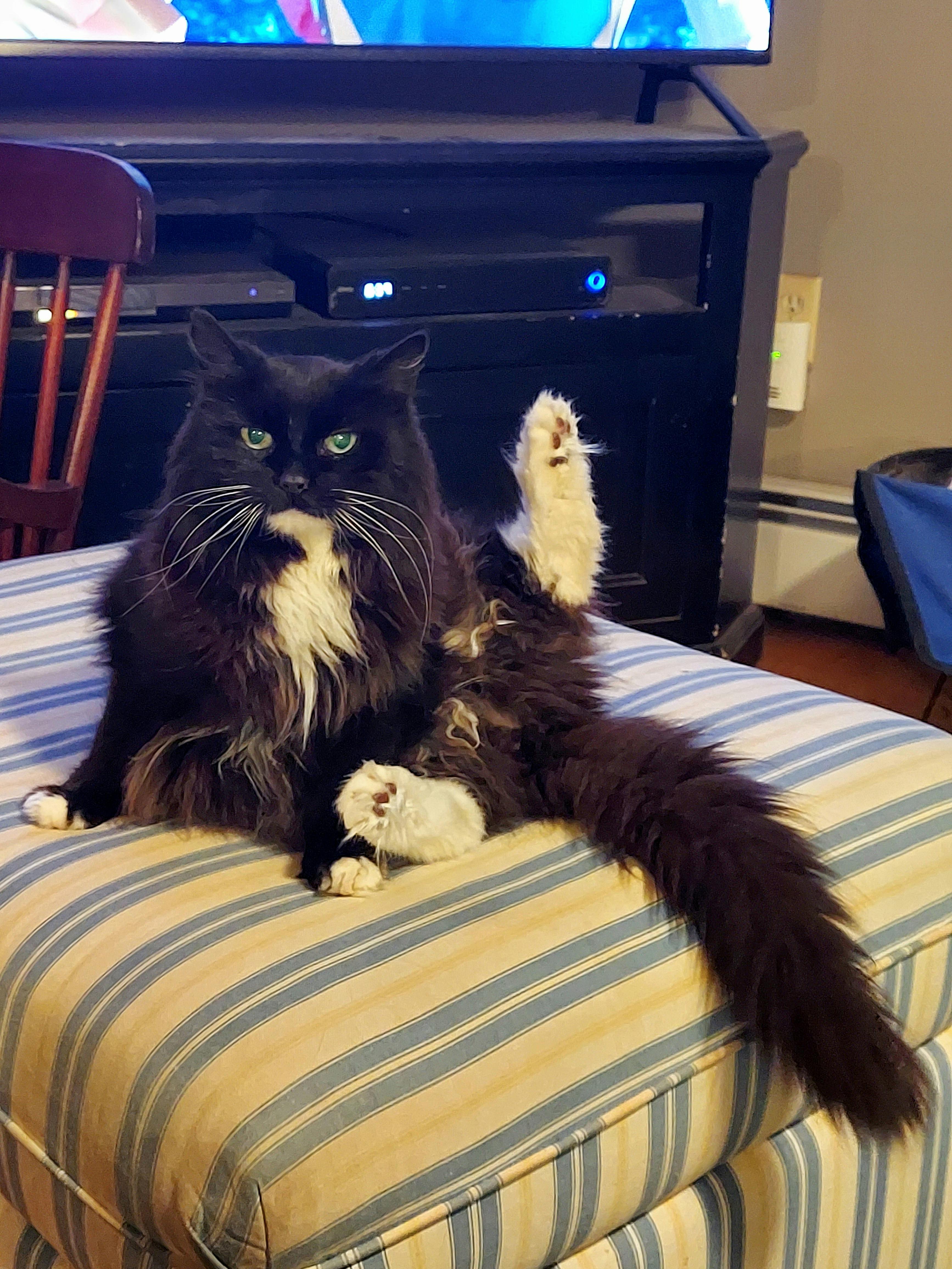 user avatar image for mrnnki