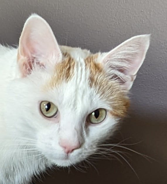 user avatar image for interdata716