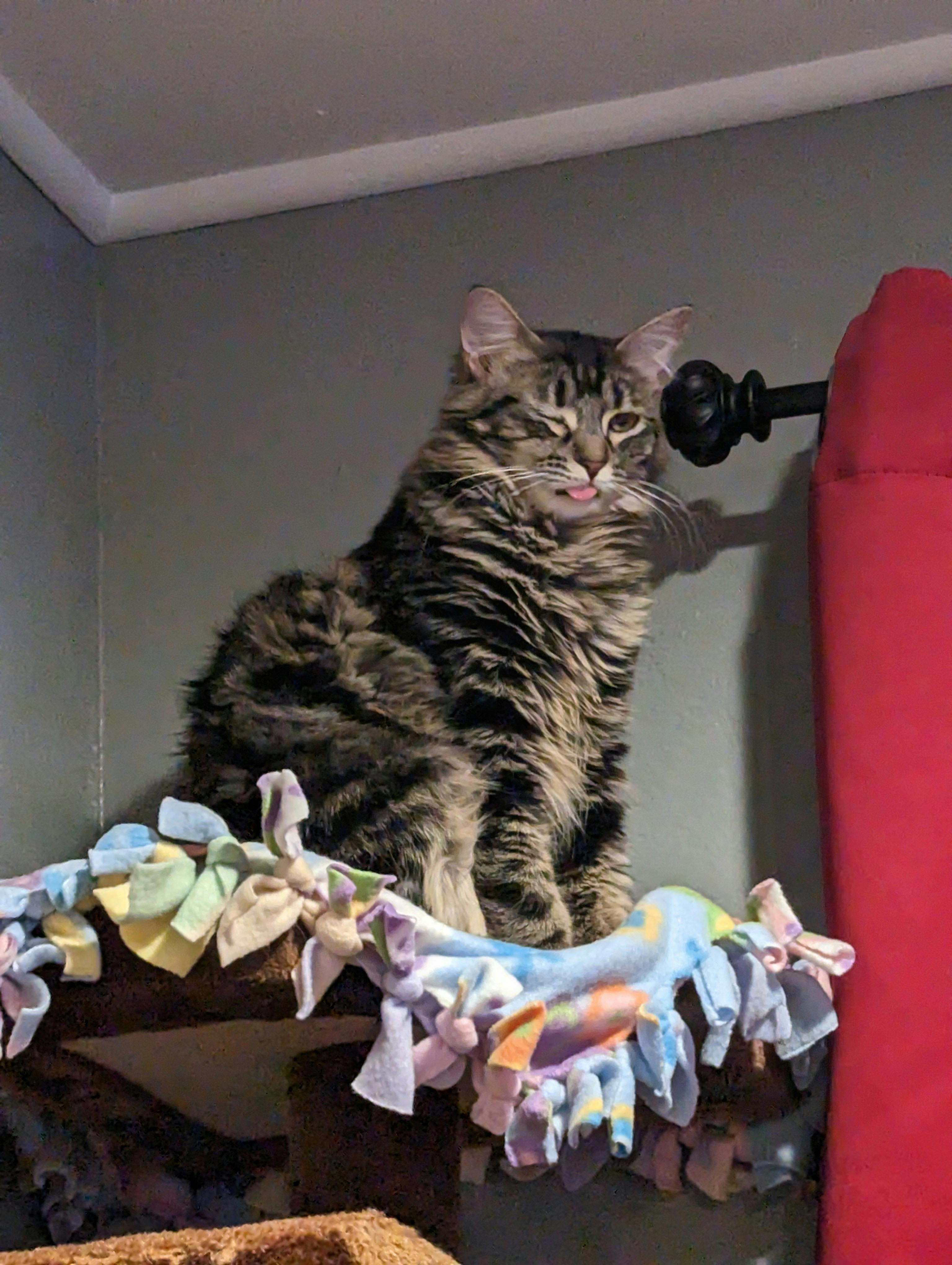 user avatar image for Channing Bancroft