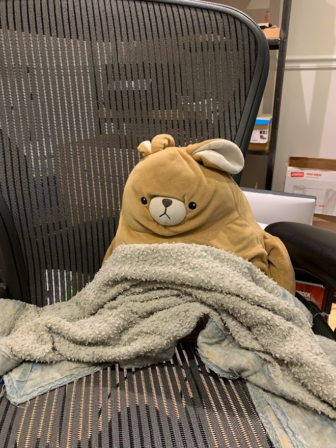 user avatar image for Megan O'Donnell