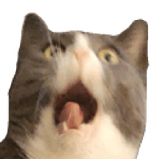 user avatar image for AviCat