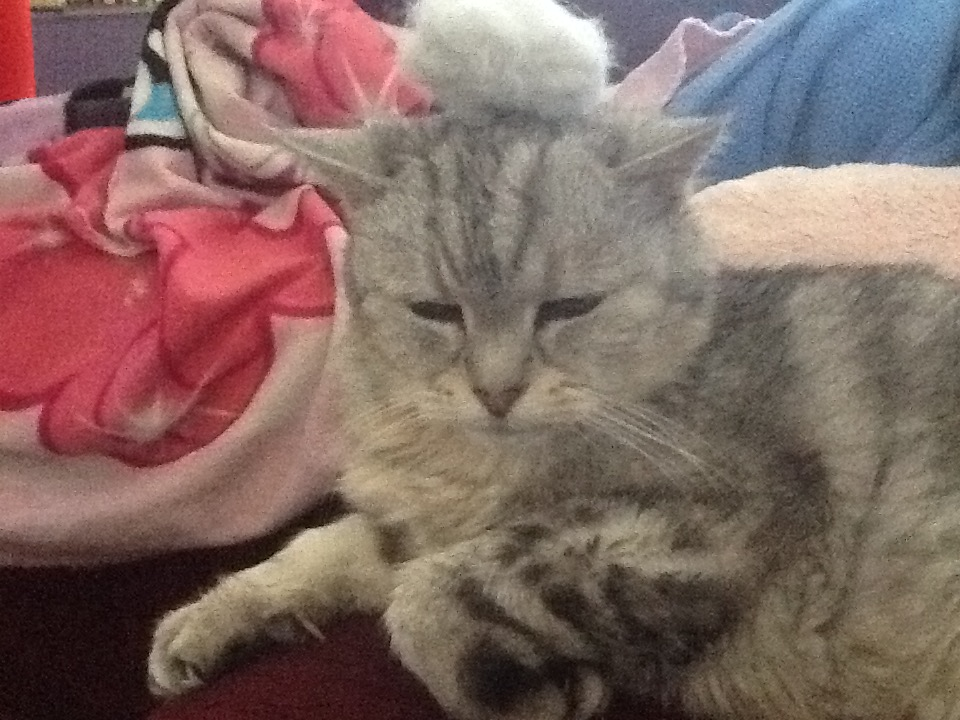 user avatar image for Stephen