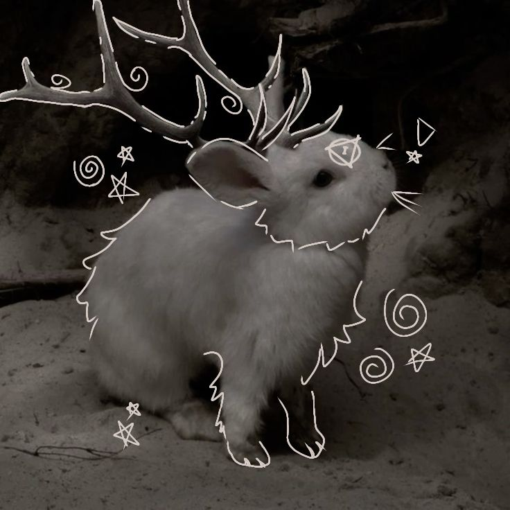 user avatar image for Embry