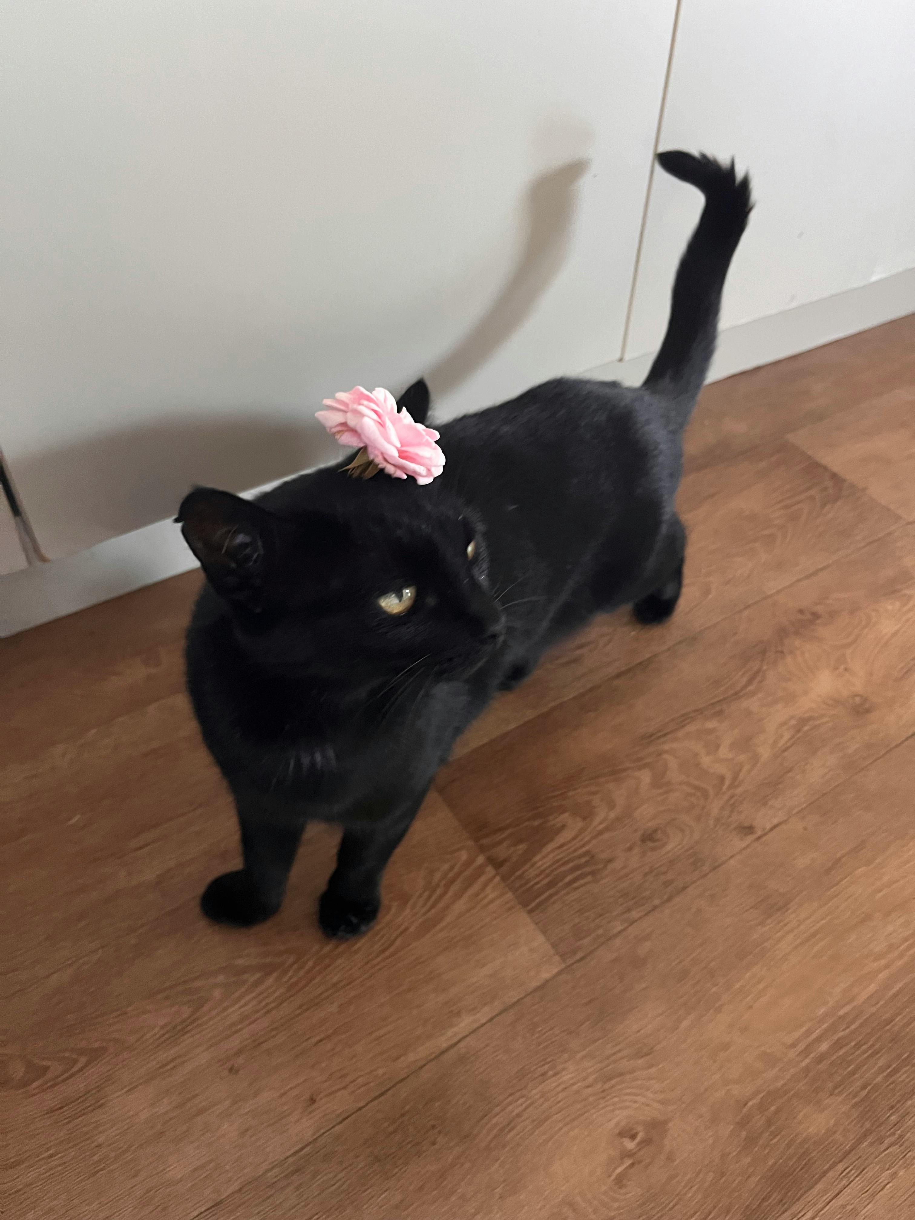 user avatar image for Nadia 