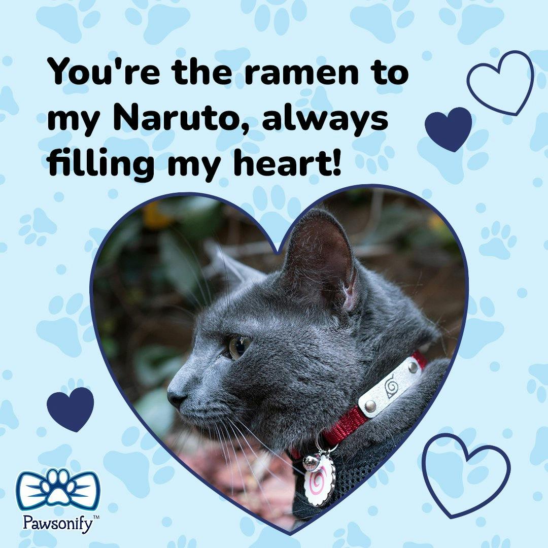 user avatar image for Tushyface