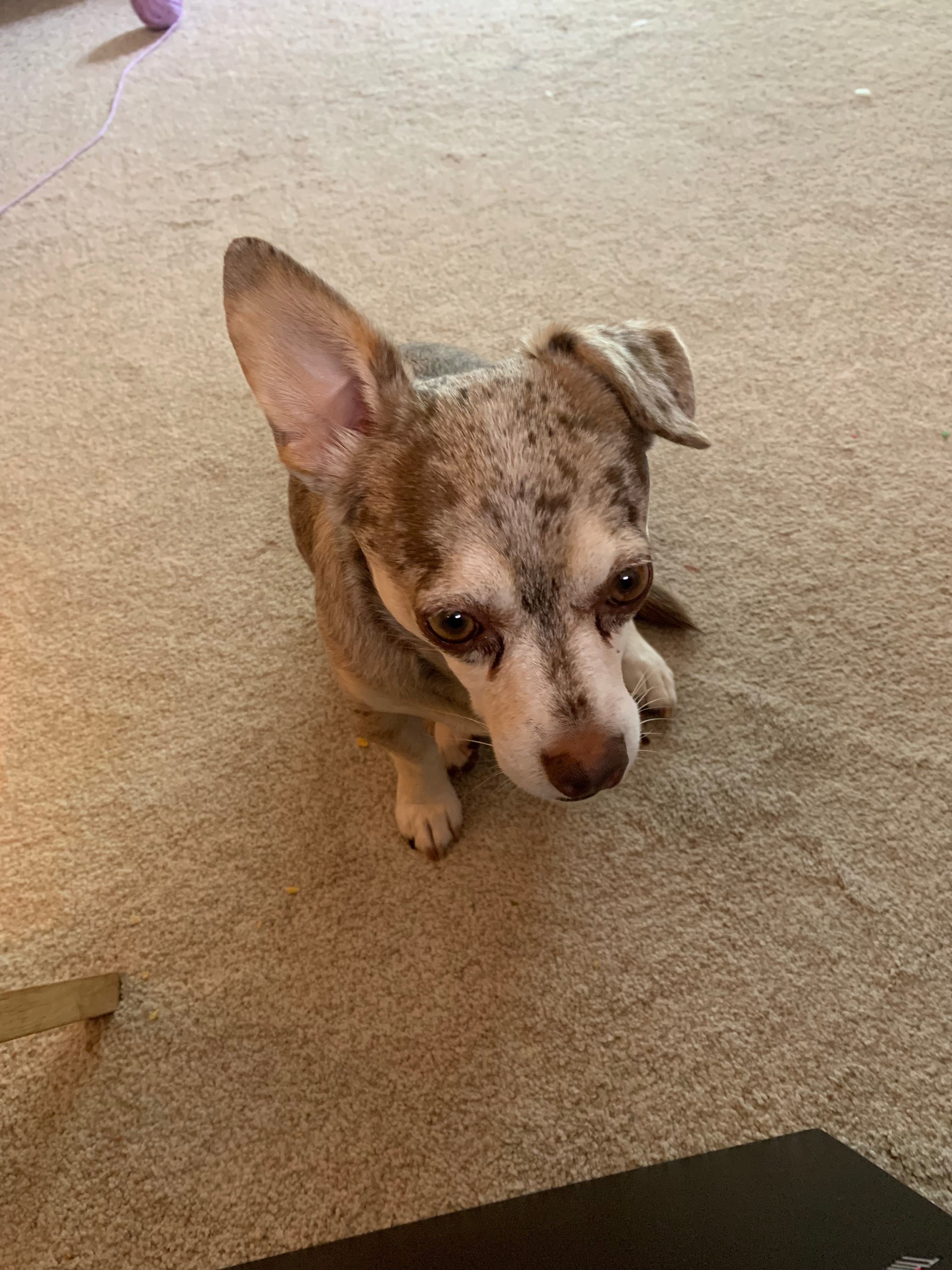 user avatar image for Emmy