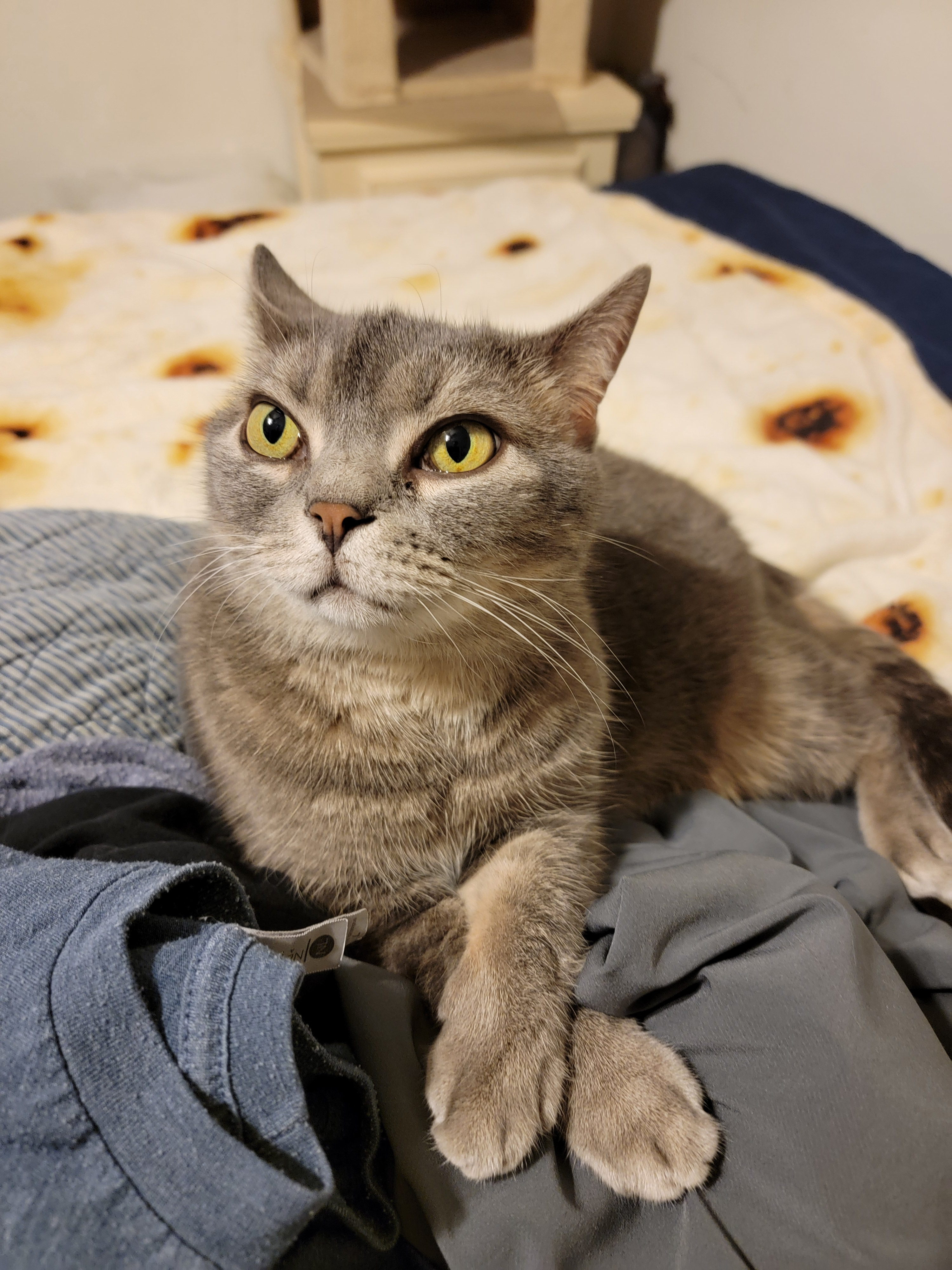 user avatar image for Justin McCormick