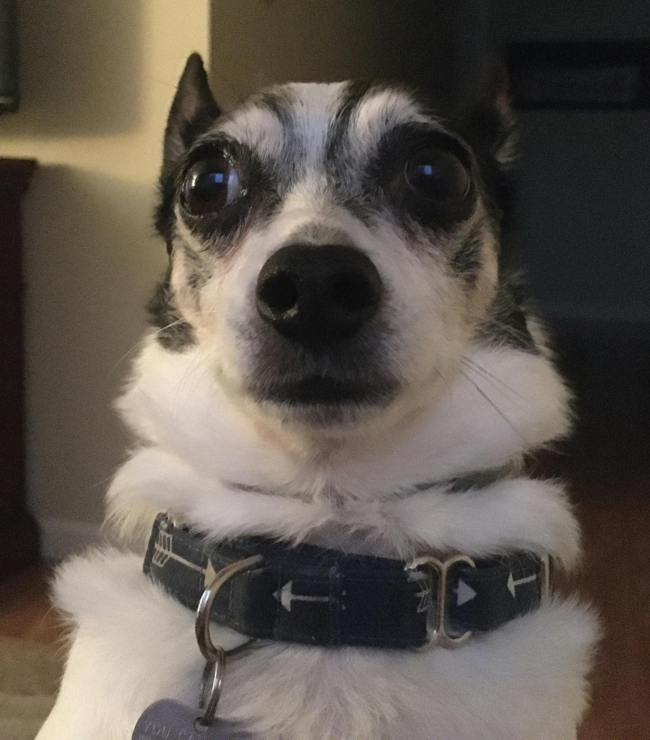 user avatar image for virid