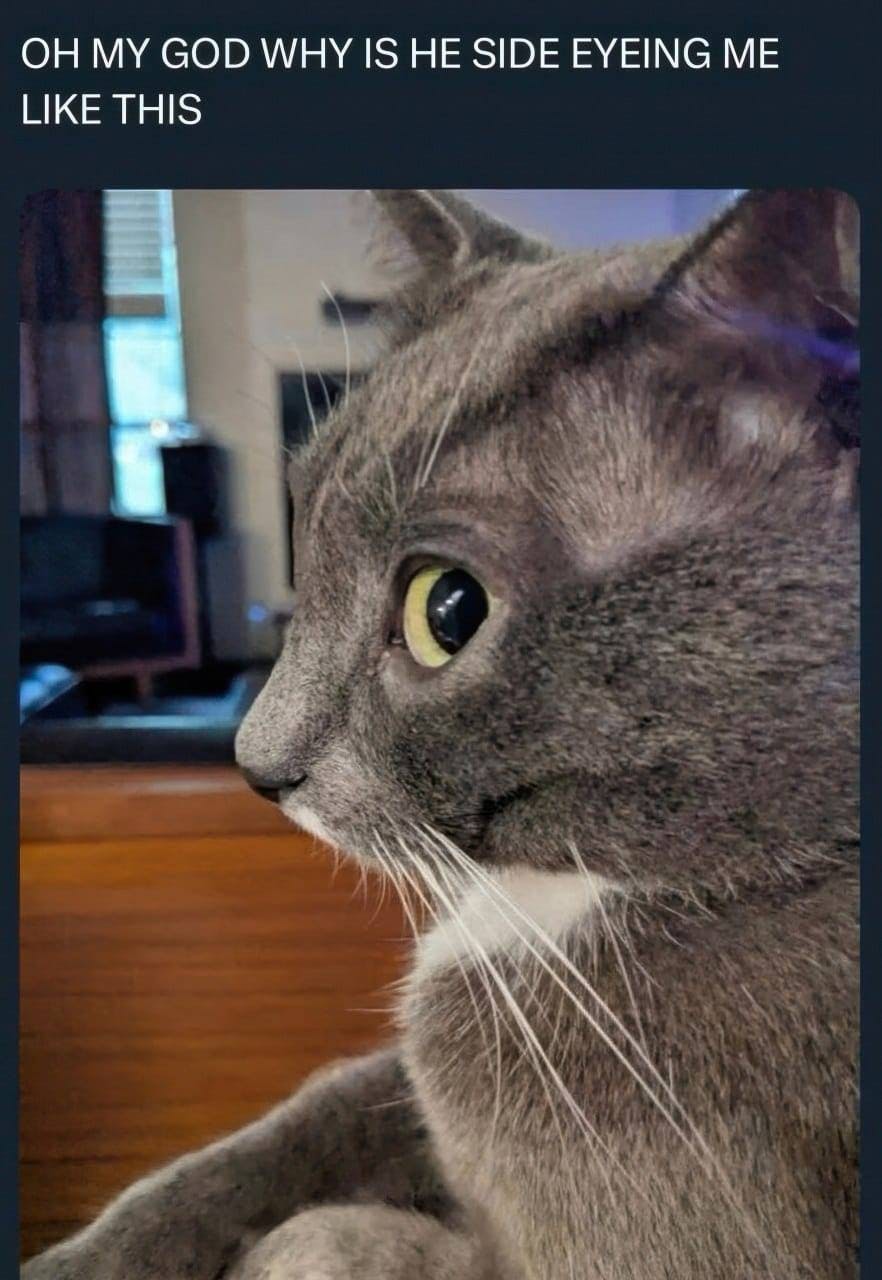 user avatar image for Lindsay