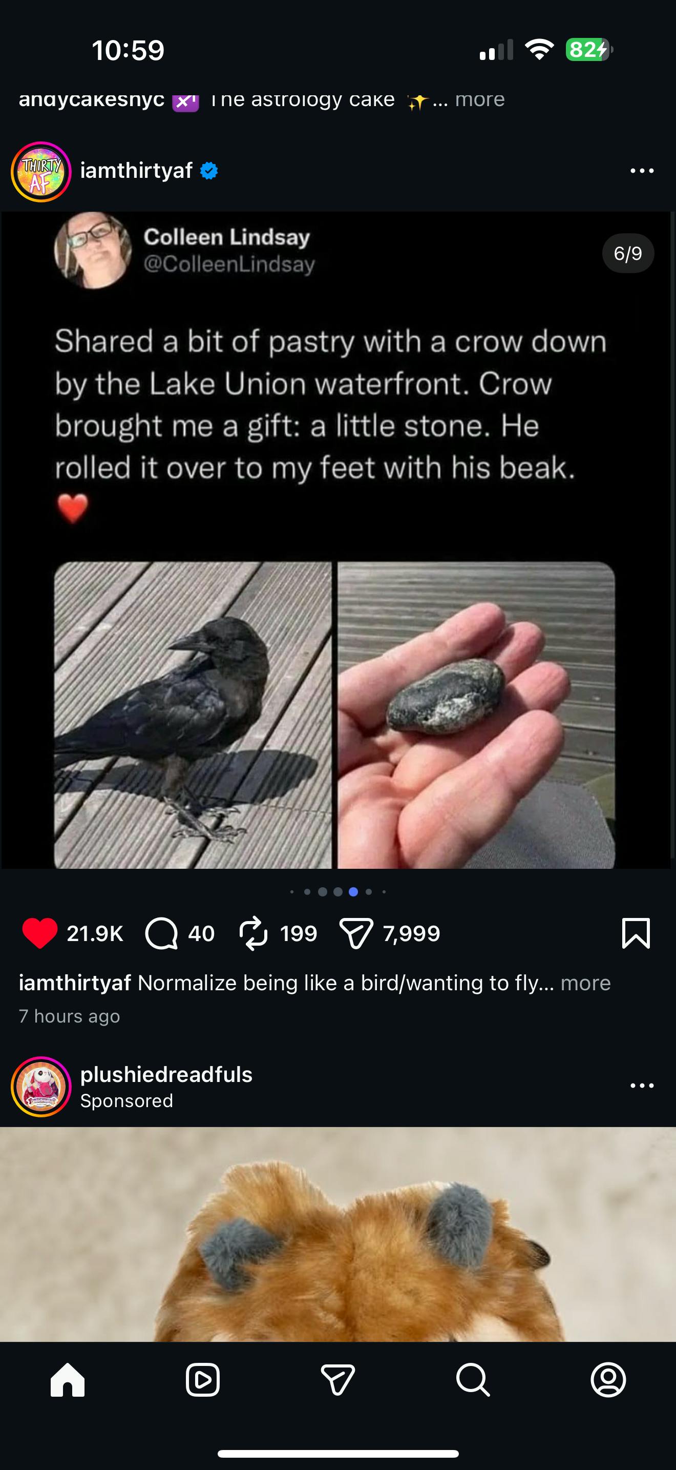 user avatar image for Nevermore's Raven