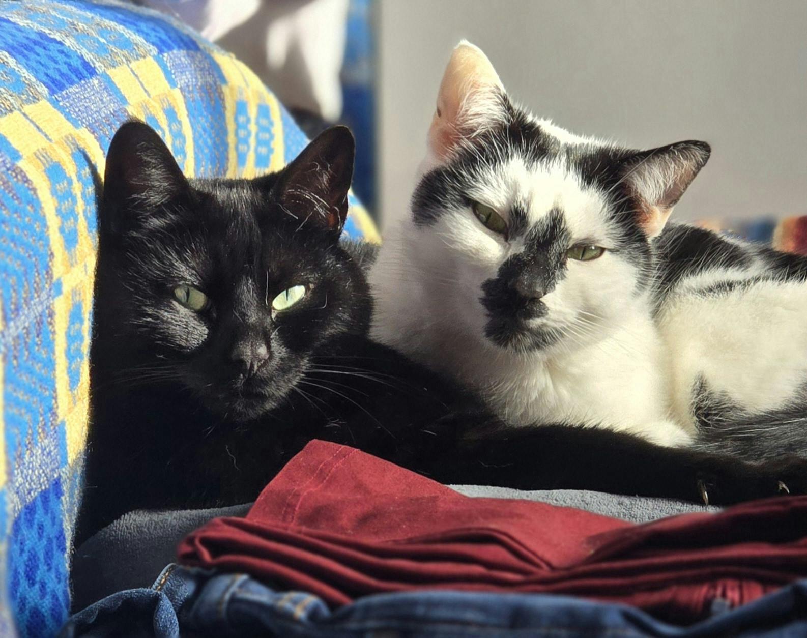 user avatar image for Jay