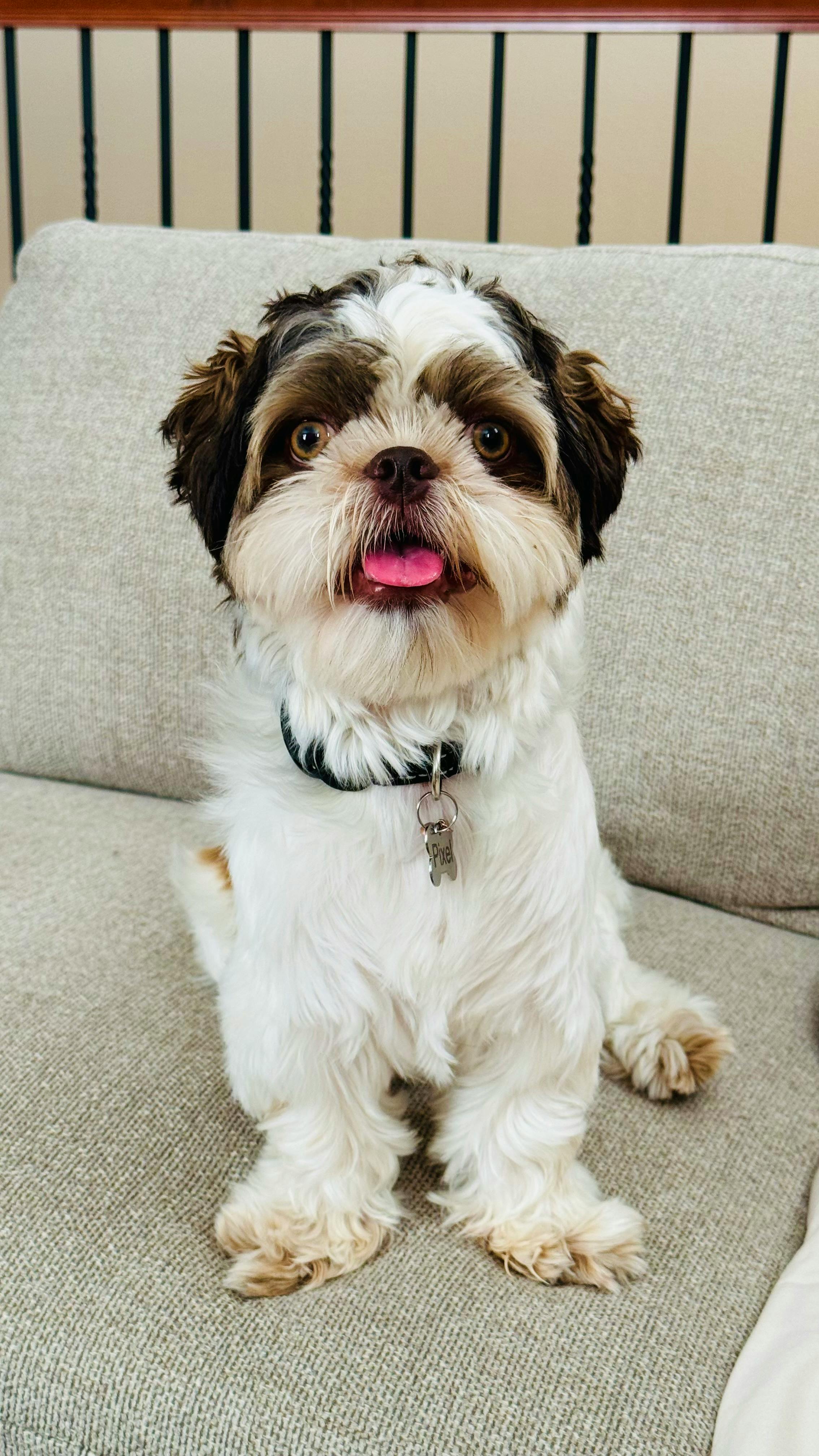 user avatar image for Jake C