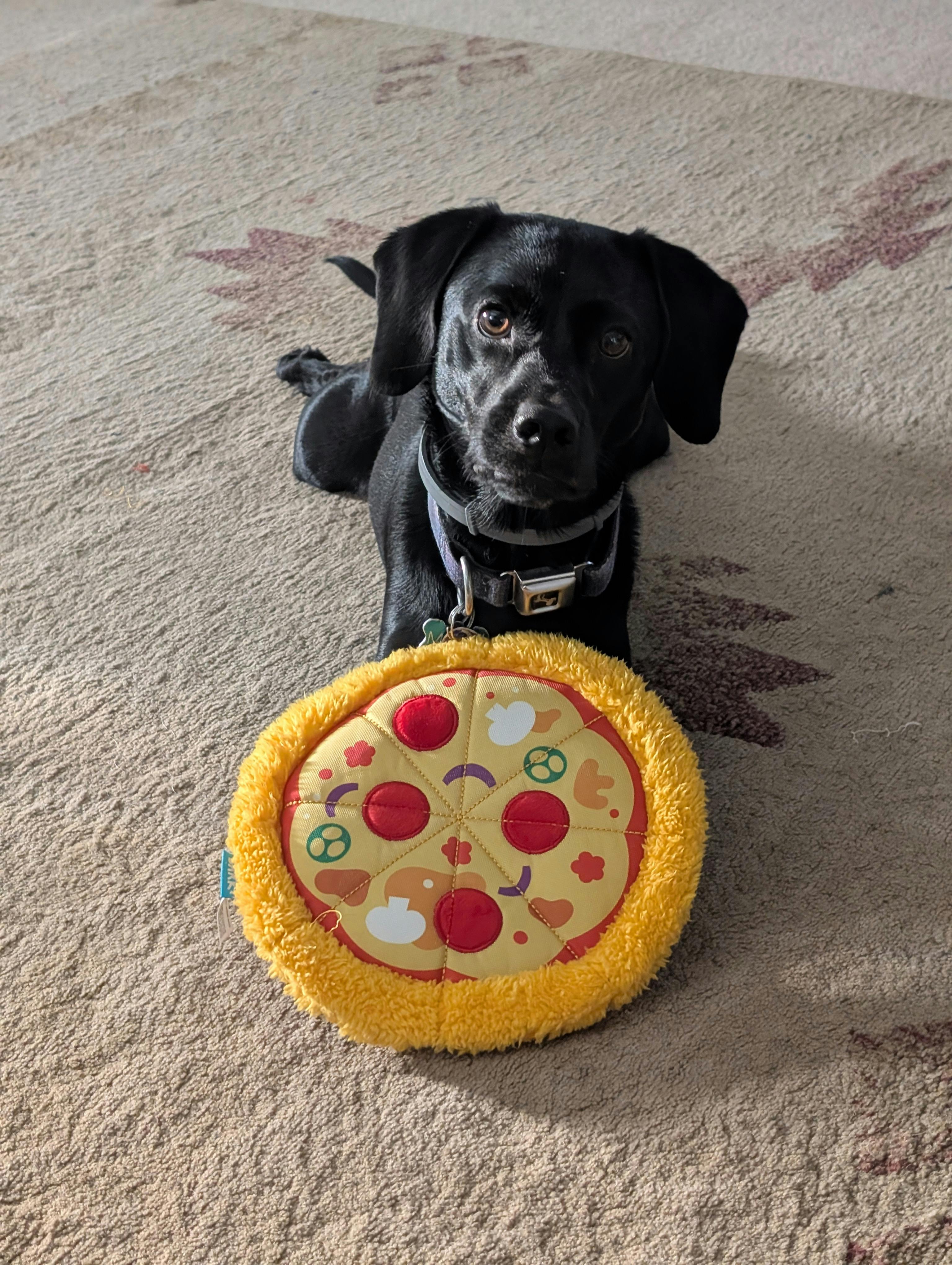 user avatar image for Tim O