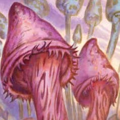 Viscuson: heals lost Sta.