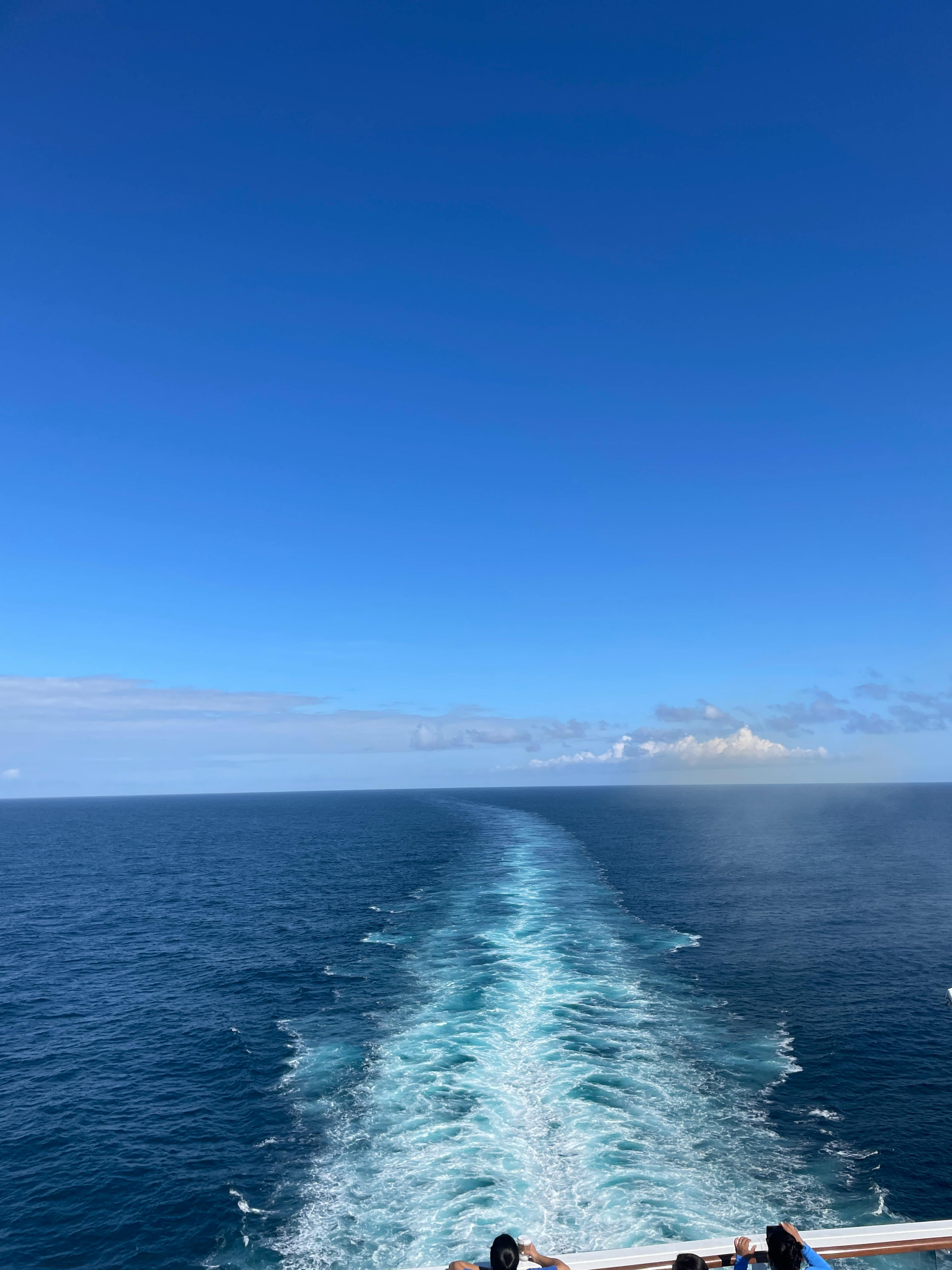 user avatar image for Steve