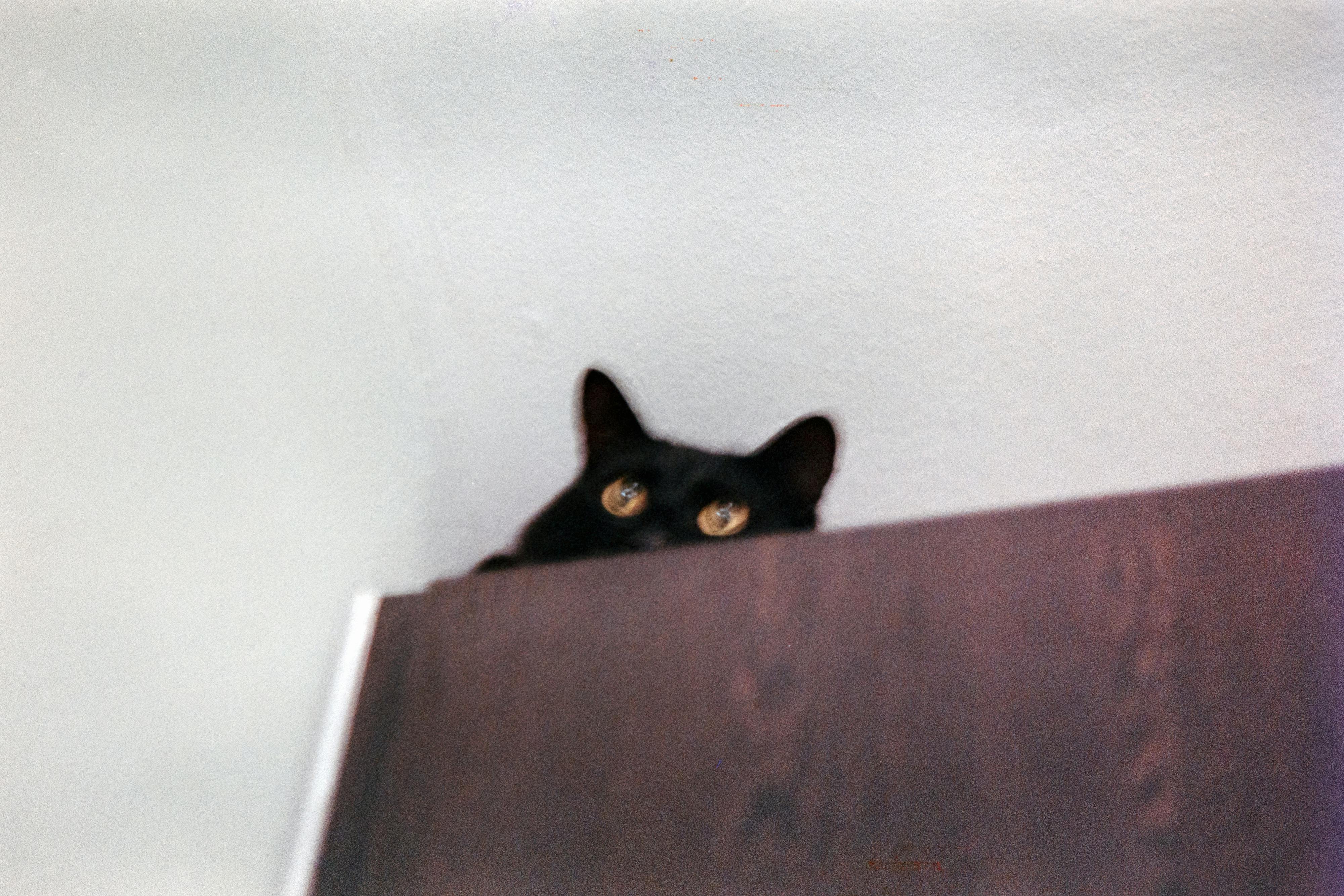 user avatar image for OuterAlien