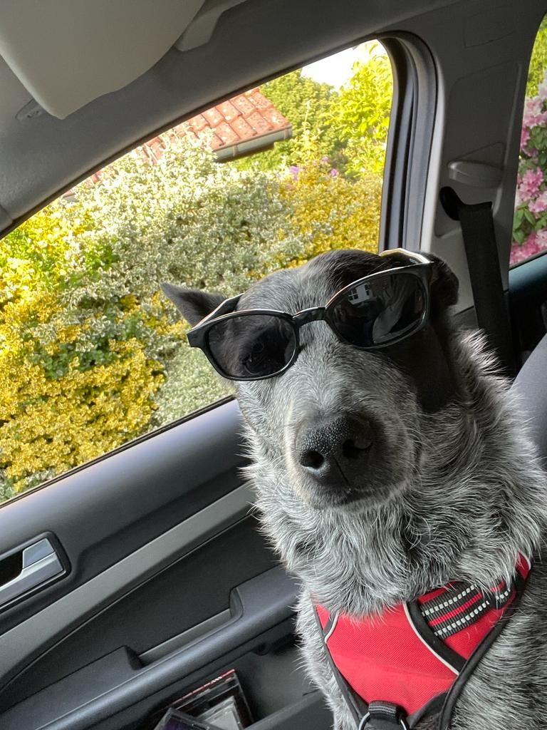 user avatar image for Daken 