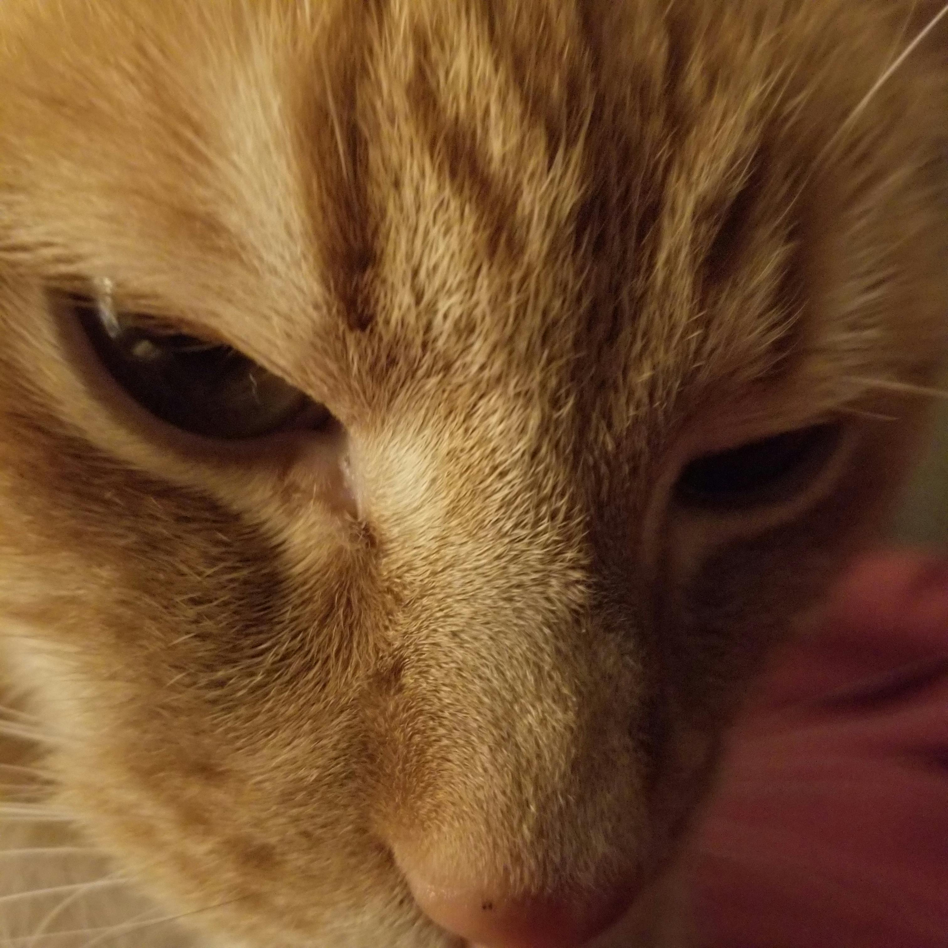 user avatar image for Will Andersen