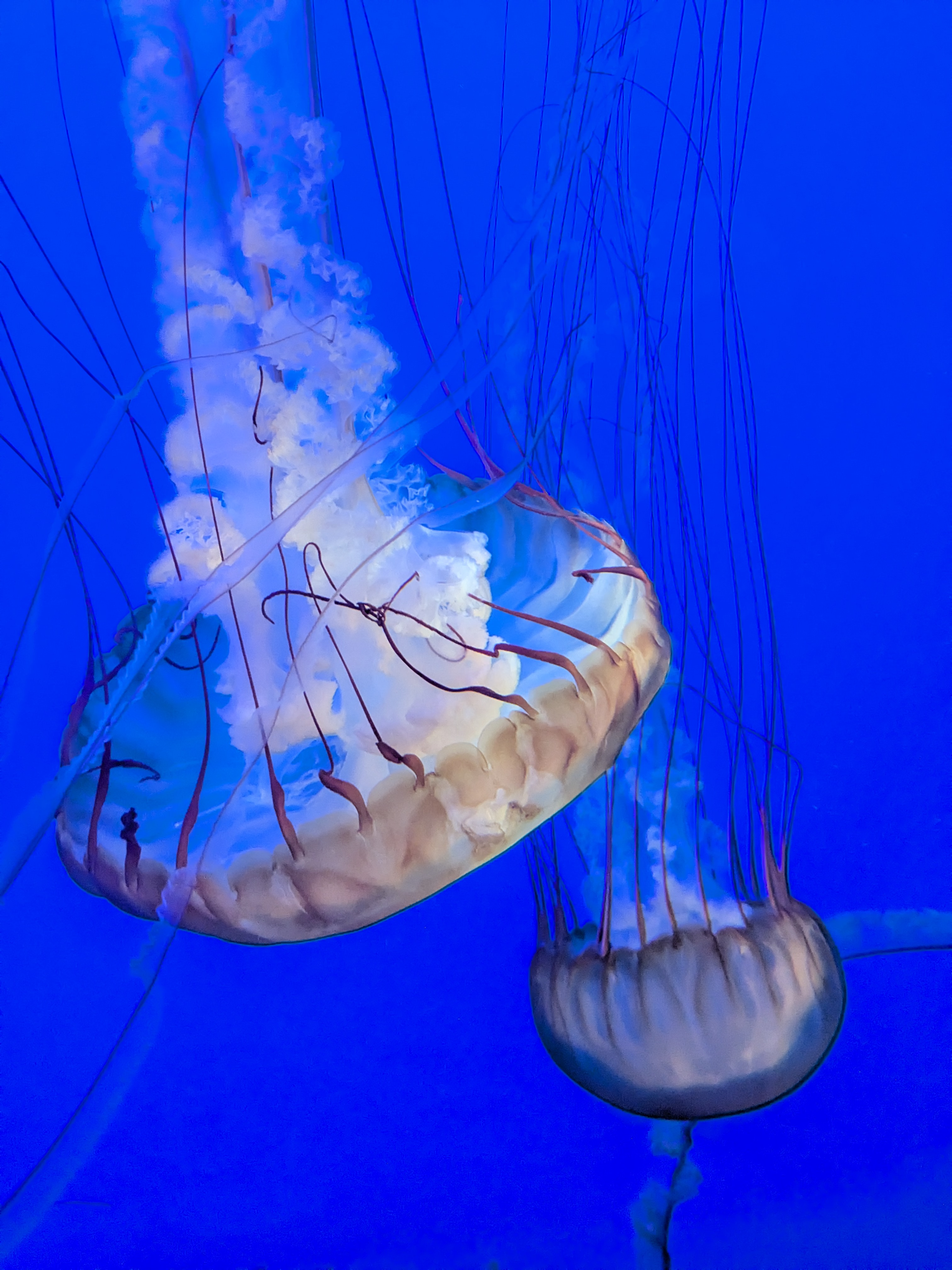 user avatar image for David