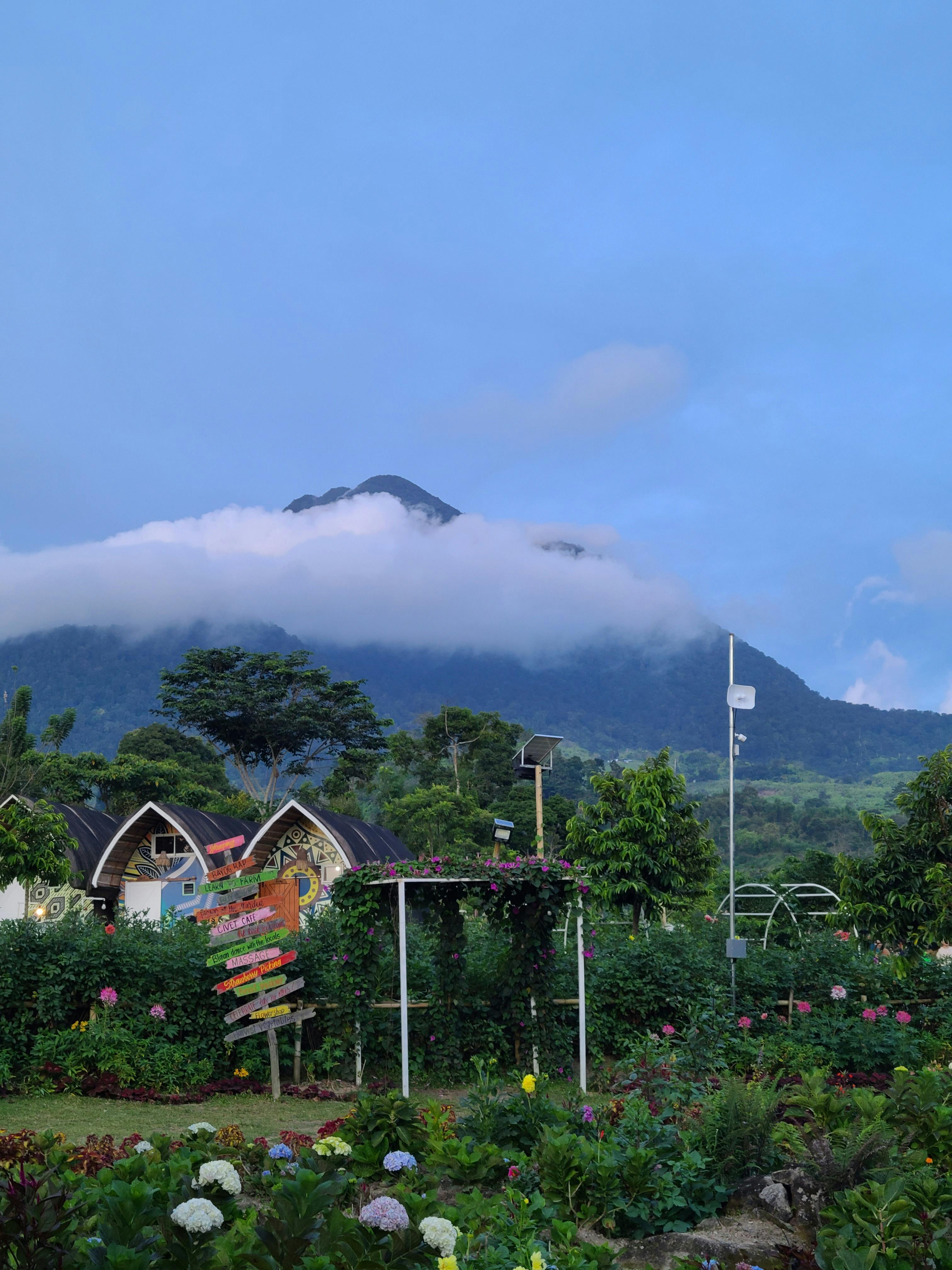 user avatar image for Echo Pursuit