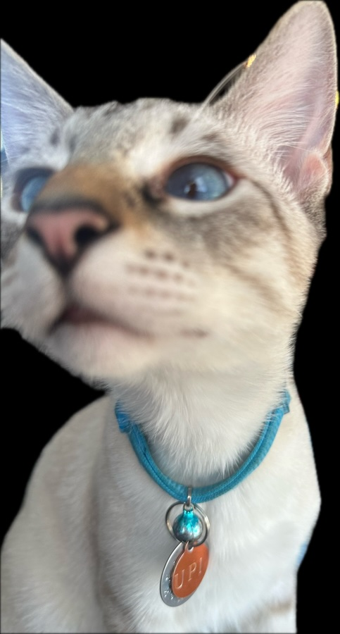 user avatar image for Richard Stanfield