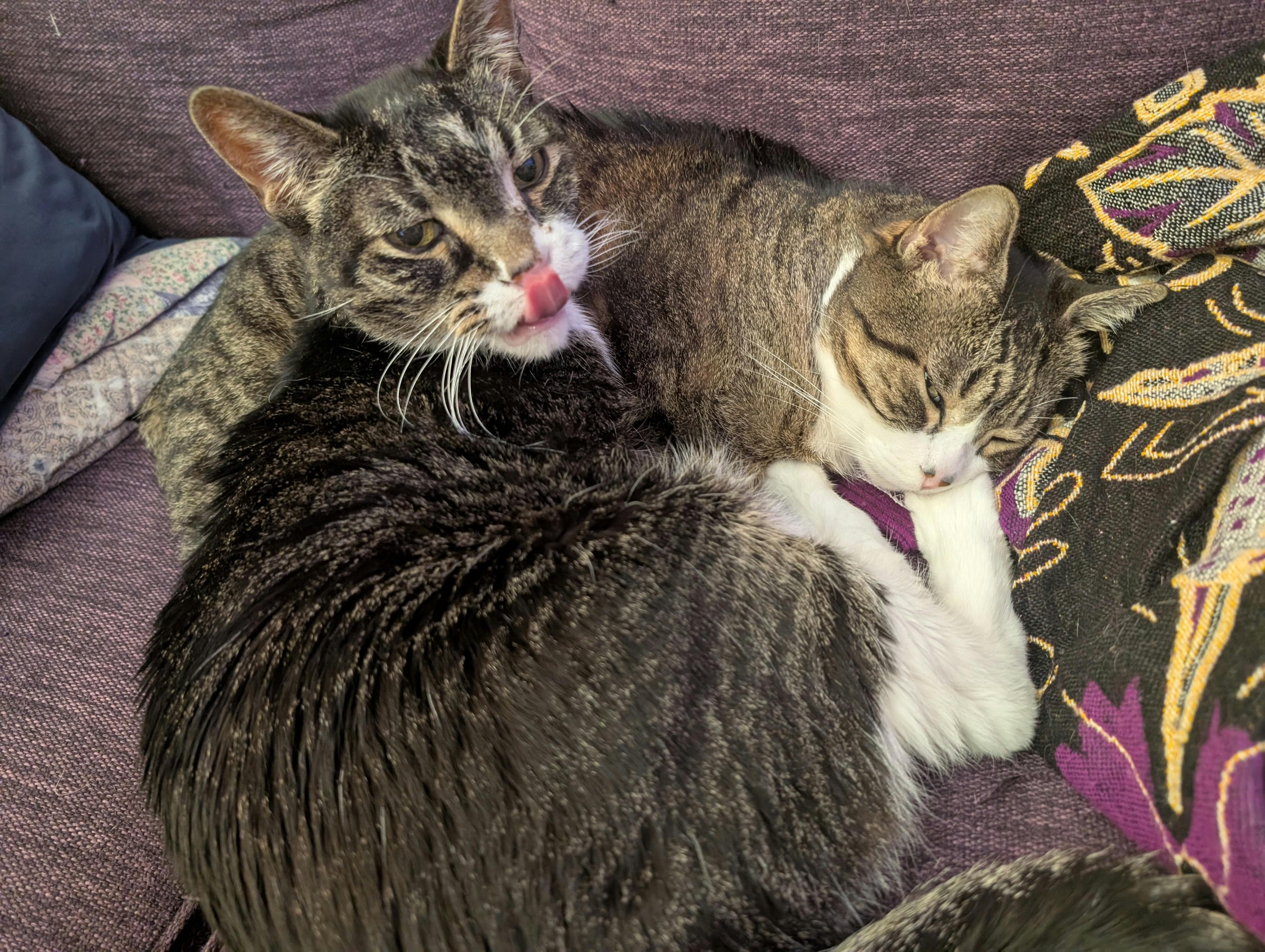 user avatar image for Theresa