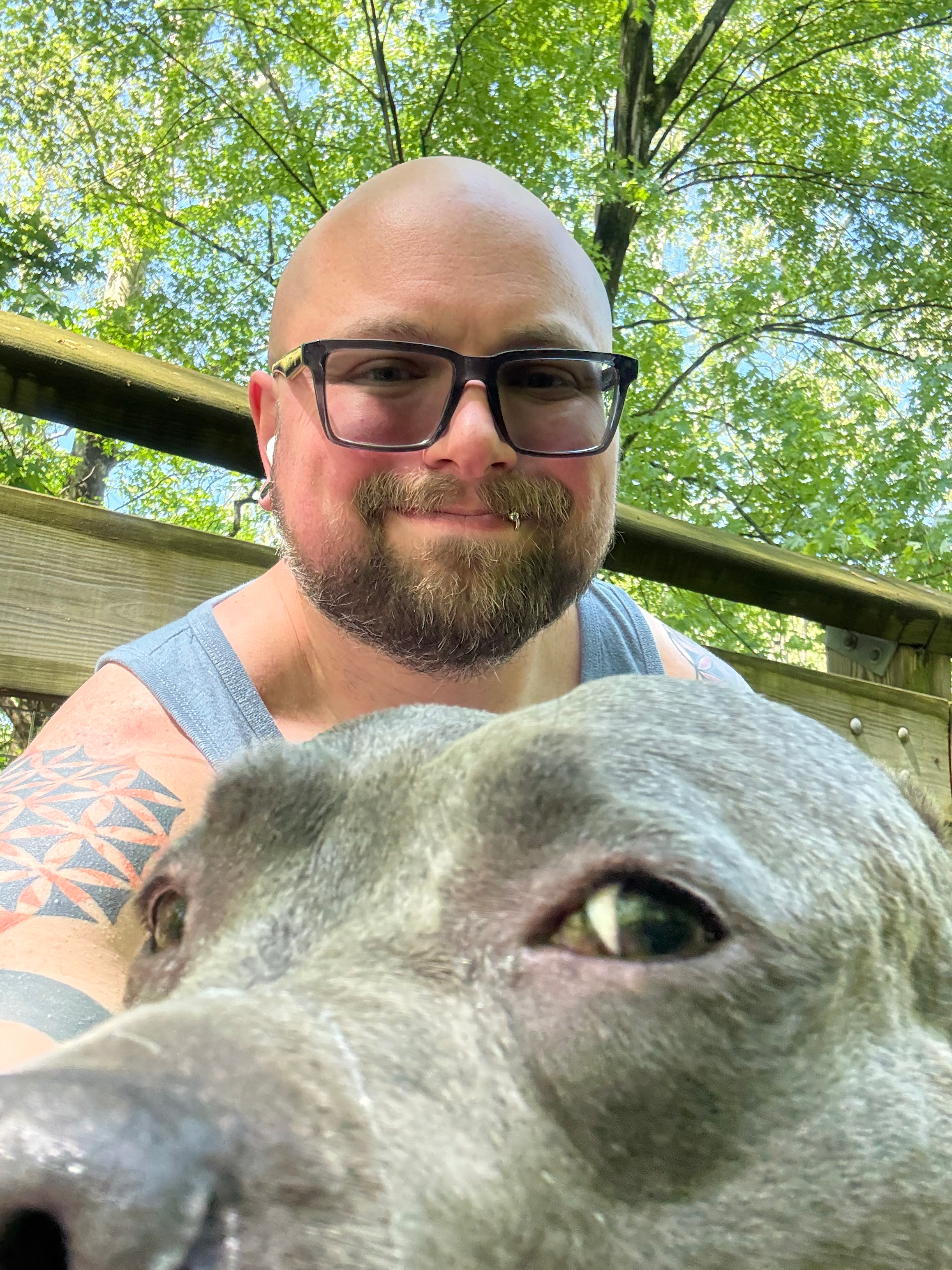 user avatar image for Dany Hilding